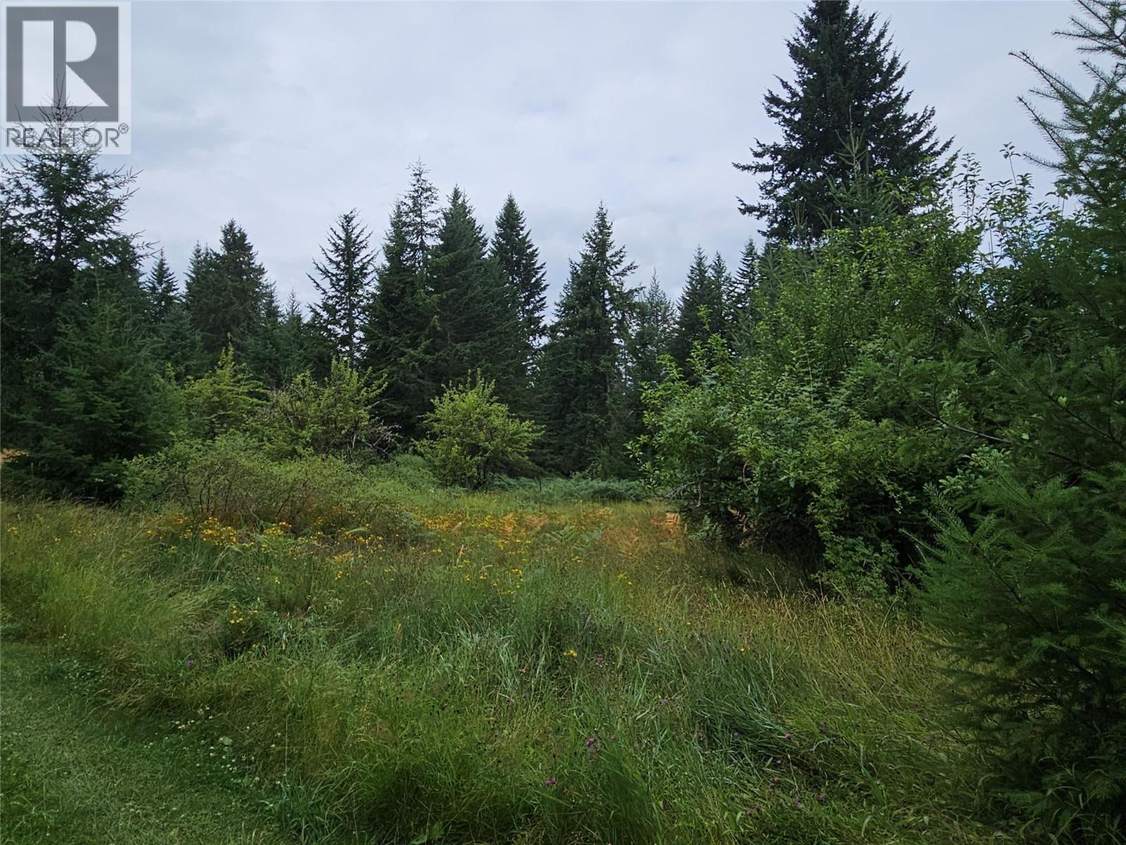 130 Lower Fauquier Road, Fauquier, British Columbia  V0G 1K0 - Photo 9 - 10357029