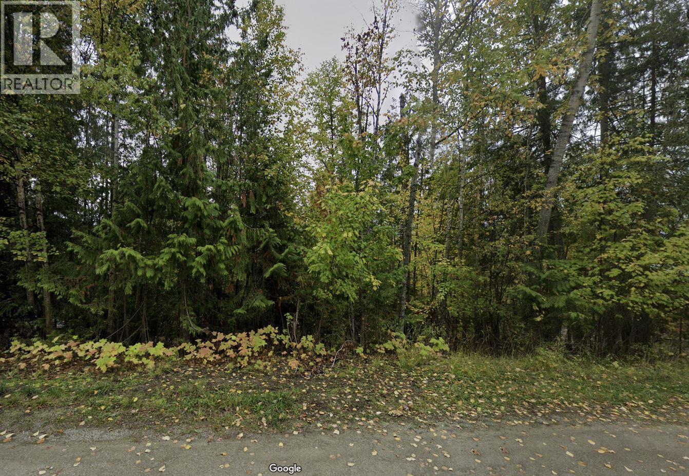 Stampede Trail Lot# 231, Anglemont, British Columbia  V0E 1M8 - Photo 1 - 10357334
