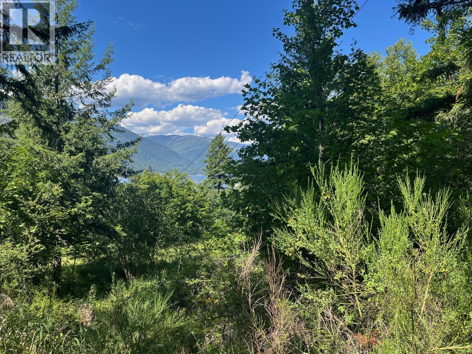 Lot B Government Street, Nelson, British Columbia  V1L 3K9 - Photo 1 - 10357252