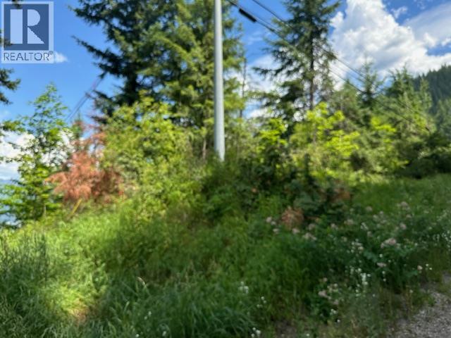 Lot B Government Street, Nelson, British Columbia  V1L 3K9 - Photo 14 - 10357252