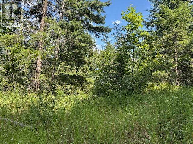 Lot B Government Street, Nelson, British Columbia  V1L 3K9 - Photo 15 - 10357252