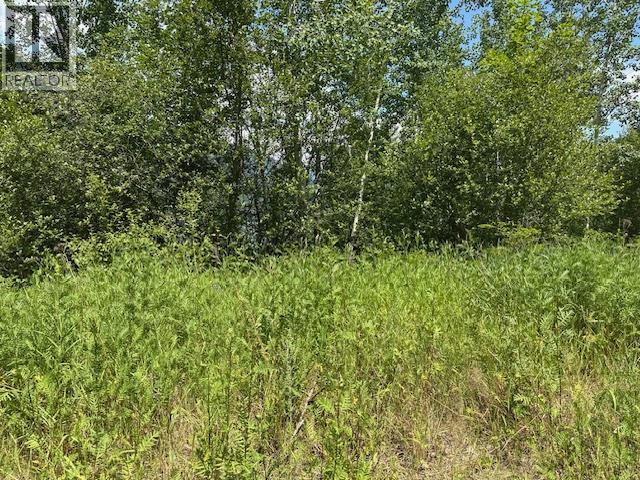 Lot B Government Street, Nelson, British Columbia  V1L 3K9 - Photo 16 - 10357252