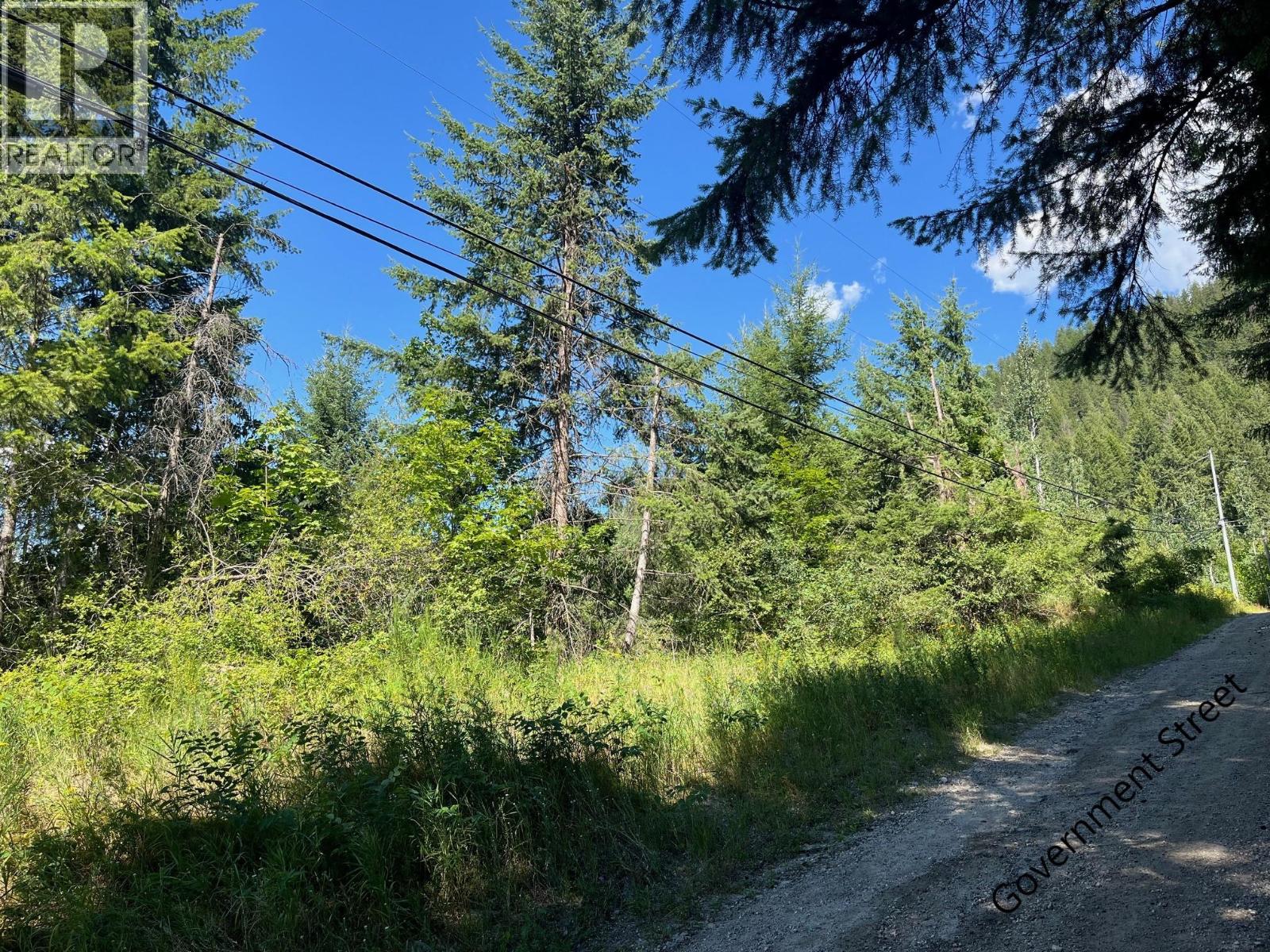 Lot B Government Street, Nelson, British Columbia  V1L 3K9 - Photo 2 - 10357252