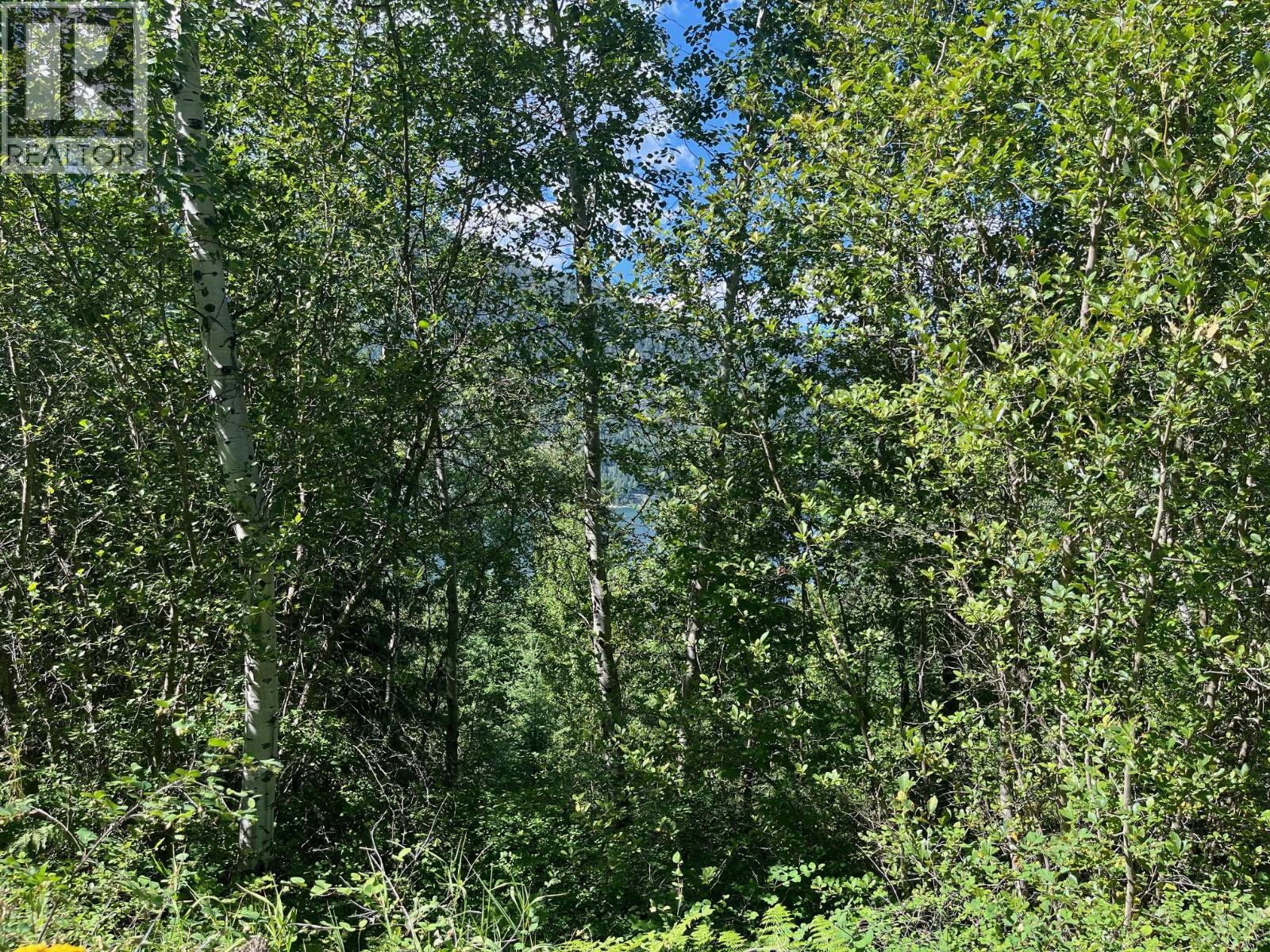 Lot B Government Street, Nelson, British Columbia  V1L 3K9 - Photo 3 - 10357252