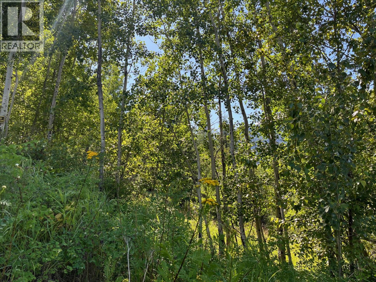 Lot B Government Street, Nelson, British Columbia  V1L 3K9 - Photo 6 - 10357252