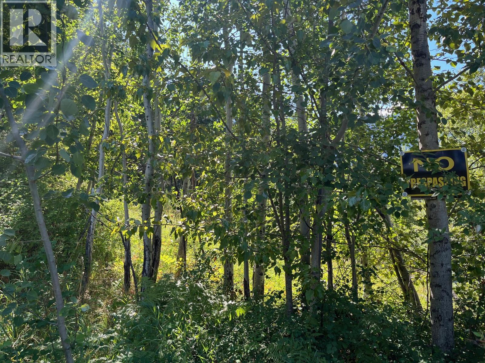 Lot B Government Street, Nelson, British Columbia  V1L 3K9 - Photo 7 - 10357252