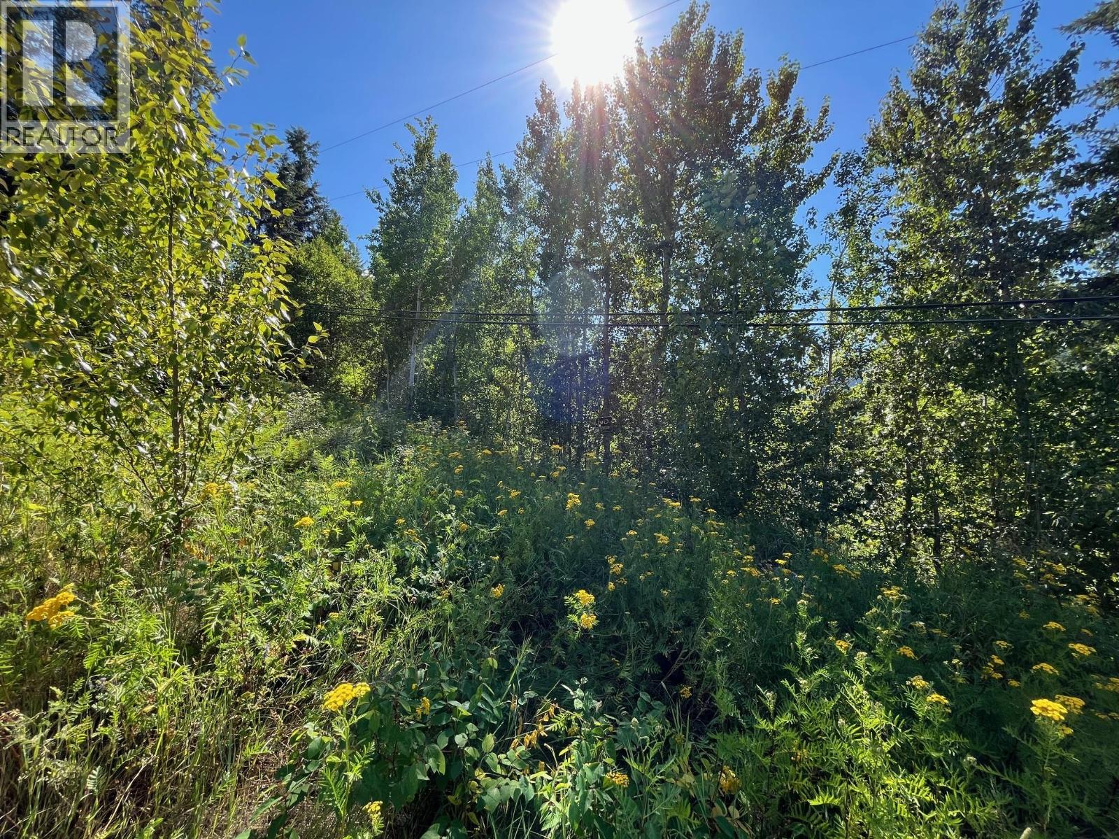 Lot B Government Street, Nelson, British Columbia  V1L 3K9 - Photo 8 - 10357252