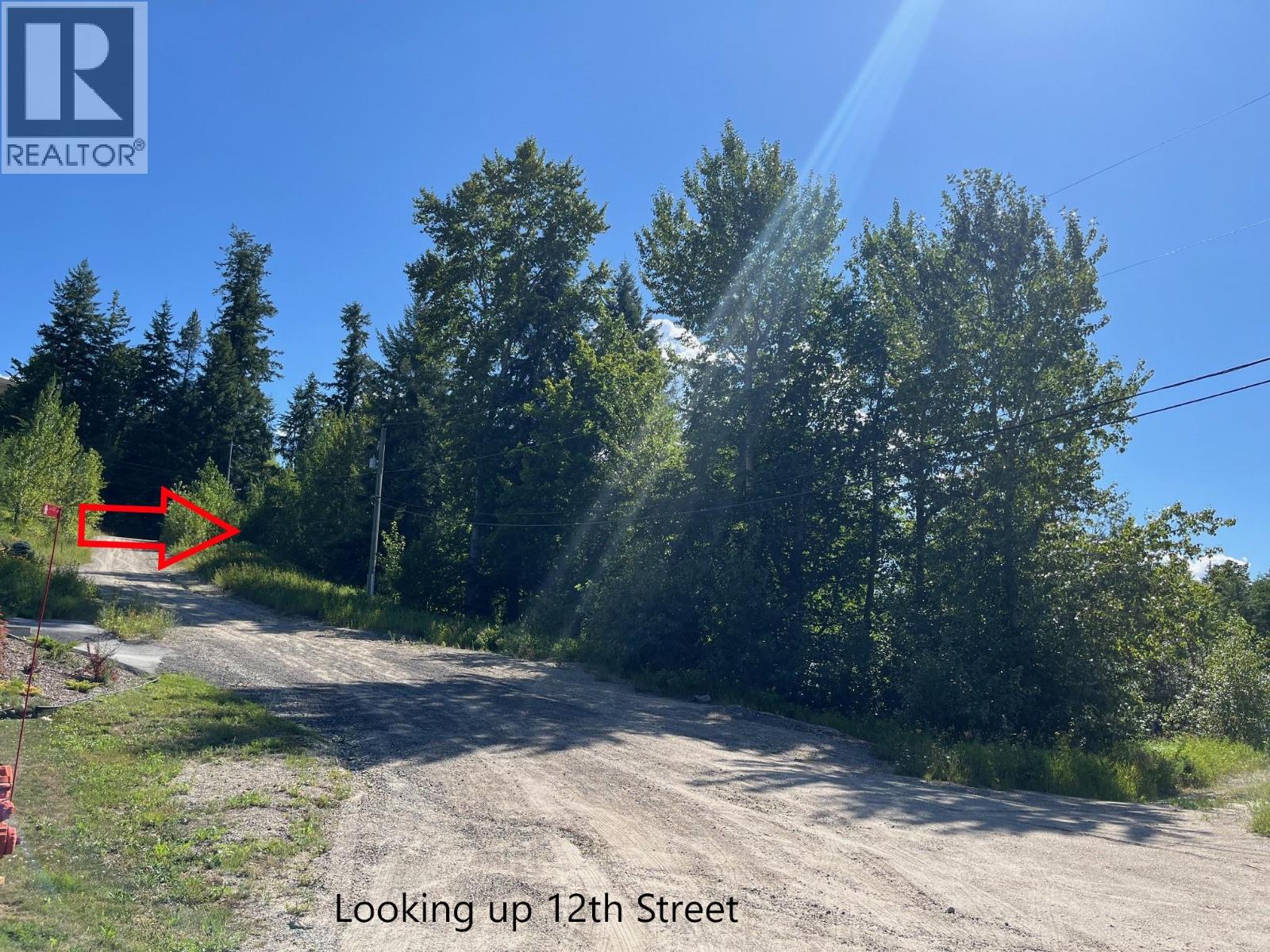 Lot B Government Street, Nelson, British Columbia  V1L 3K9 - Photo 9 - 10357252