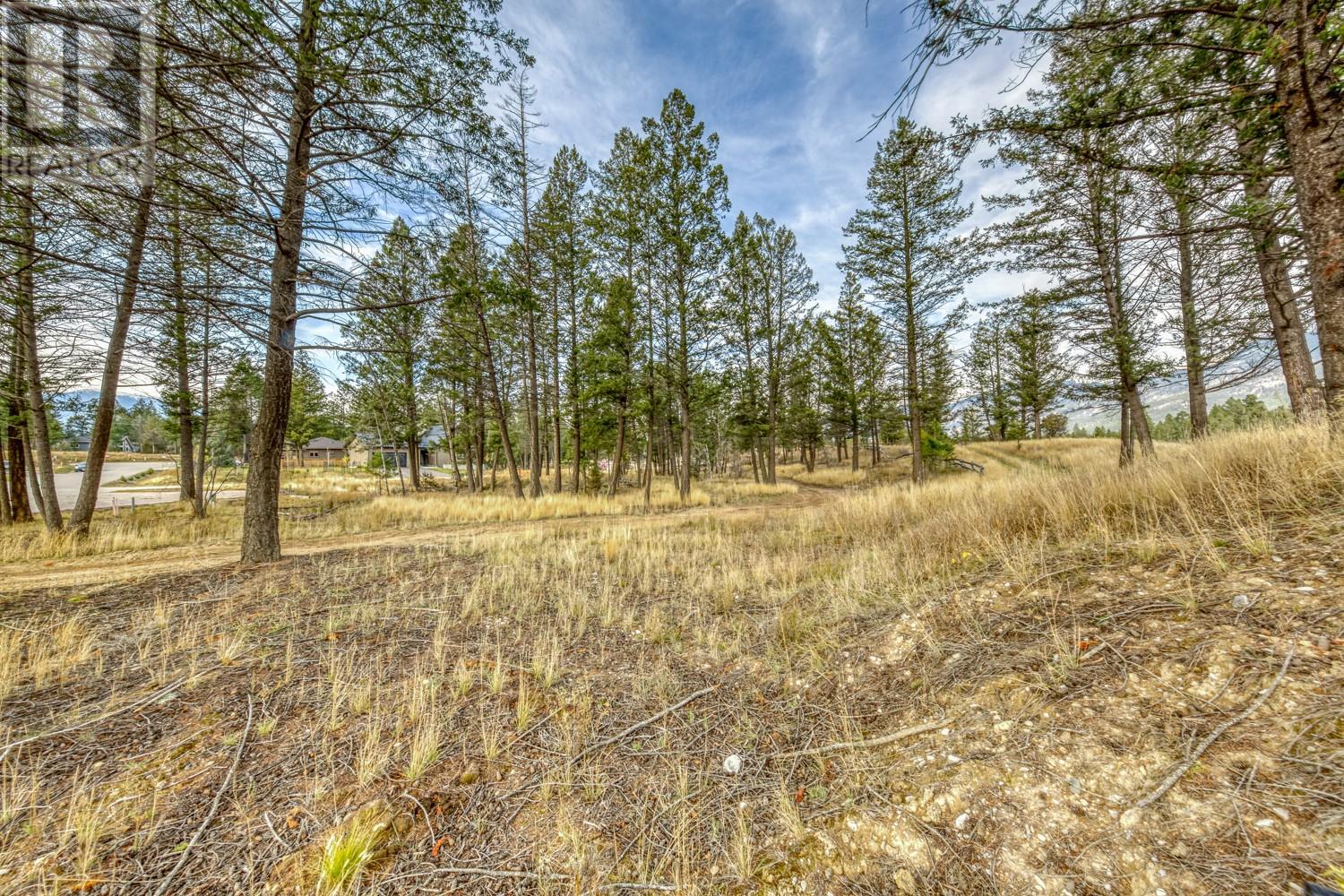 Pedley Heights Drive Lot# 51, Windermere, British Columbia  V0B 2L1 - Photo 13 - 10357408