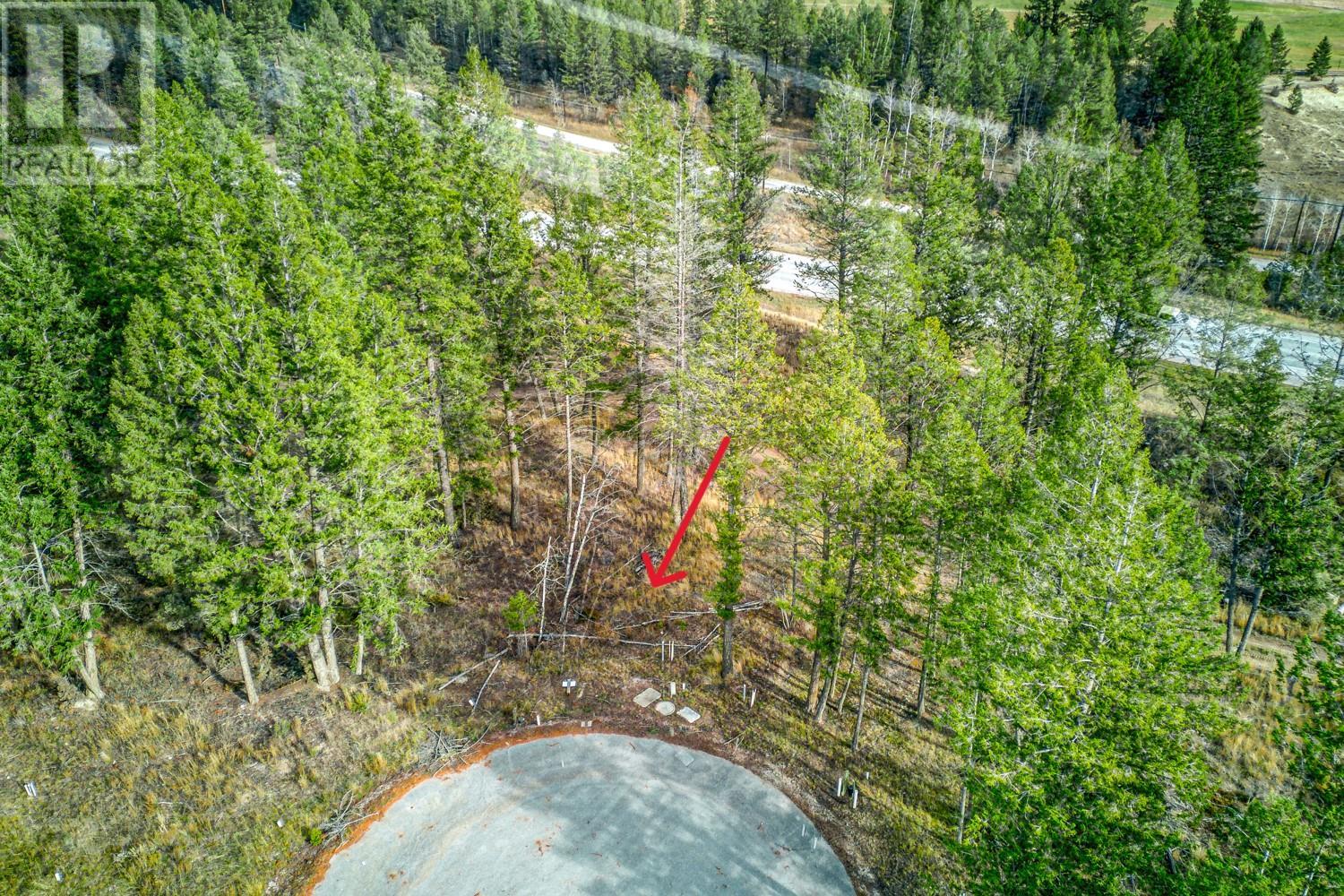 Pedley Heights Drive Lot# 51, Windermere, British Columbia  V0B 2L1 - Photo 17 - 10357408
