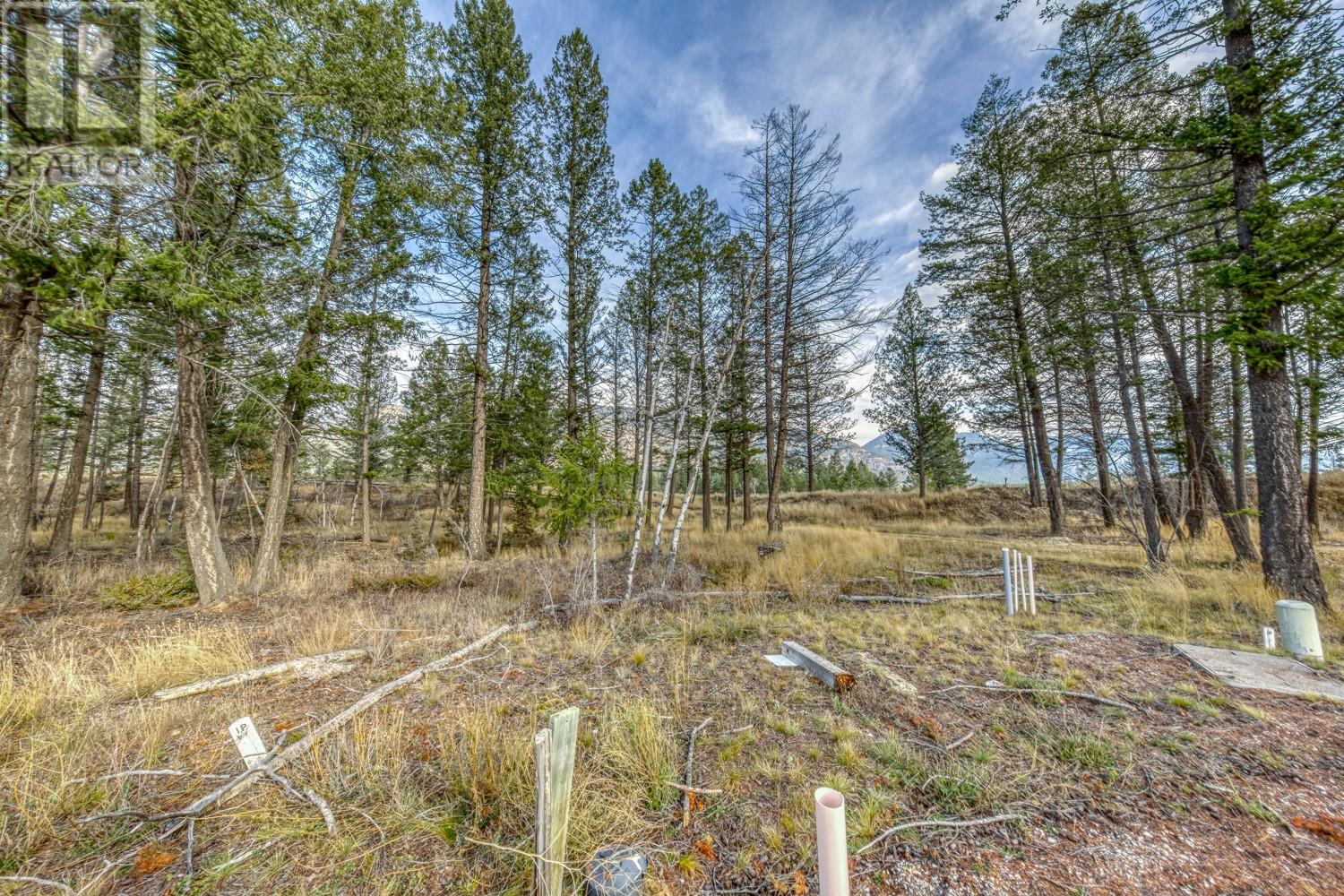 Pedley Heights Drive Lot# 51, Windermere, British Columbia  V0B 2L1 - Photo 3 - 10357408