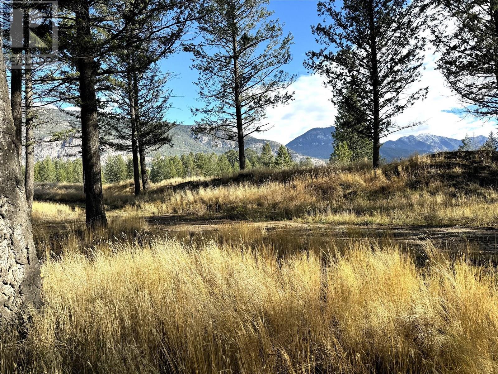 Pedley Heights Drive Lot# 51, Windermere, British Columbia  V0B 2L1 - Photo 5 - 10357408