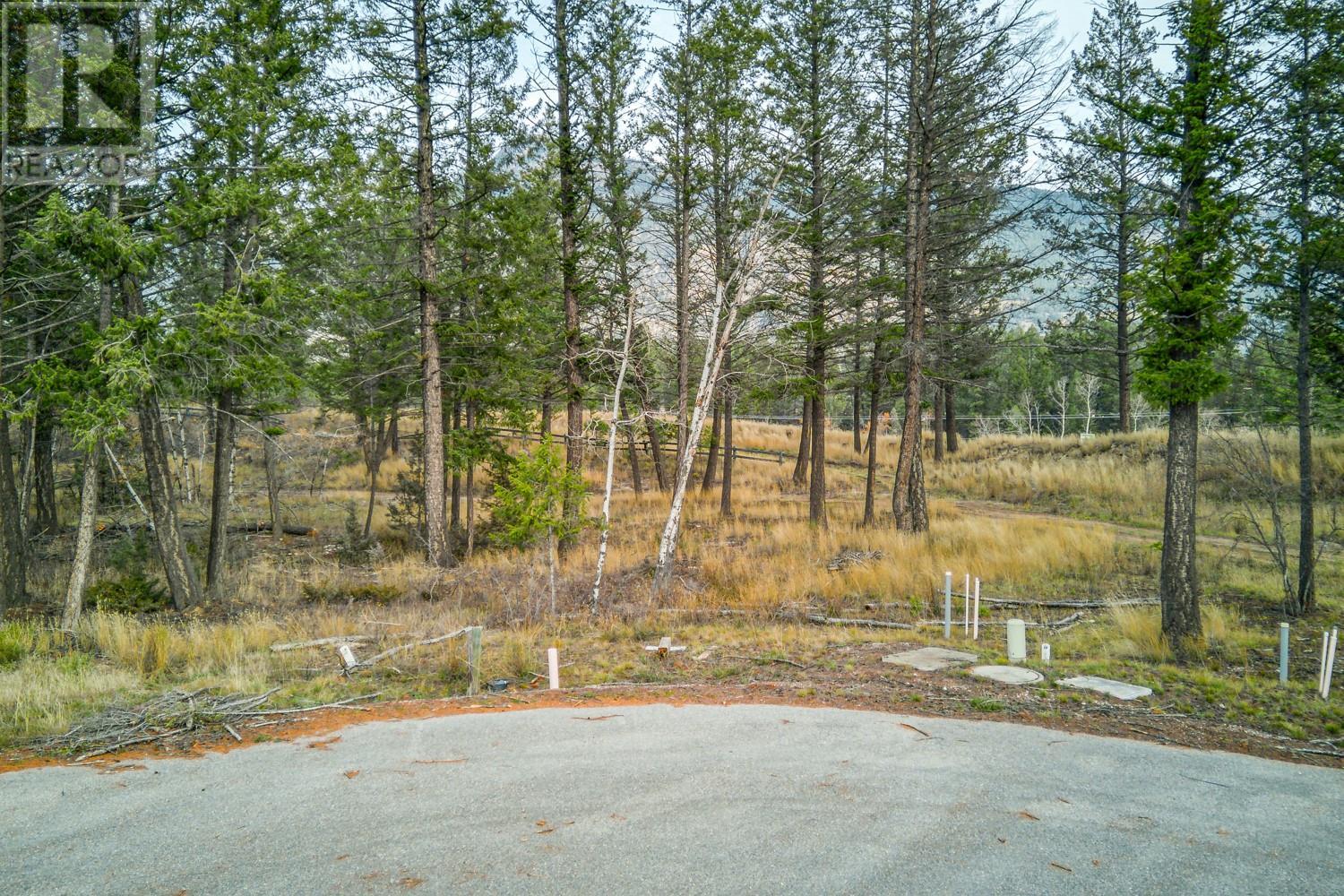Pedley Heights Drive Lot# 51, Windermere, British Columbia  V0B 2L1 - Photo 9 - 10357408