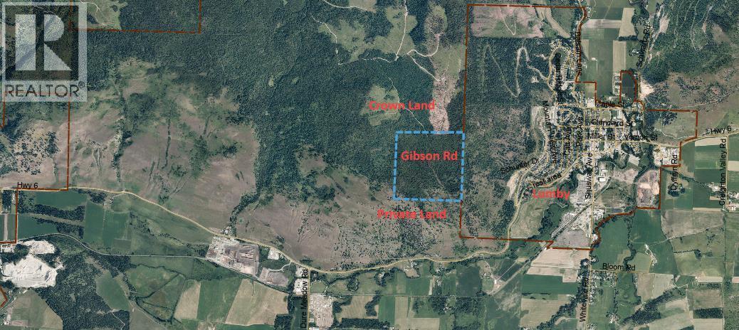 Lot 1 & 2 Gibson Road, Lumby, British Columbia  V0E 2G0 - Photo 1 - 10356942