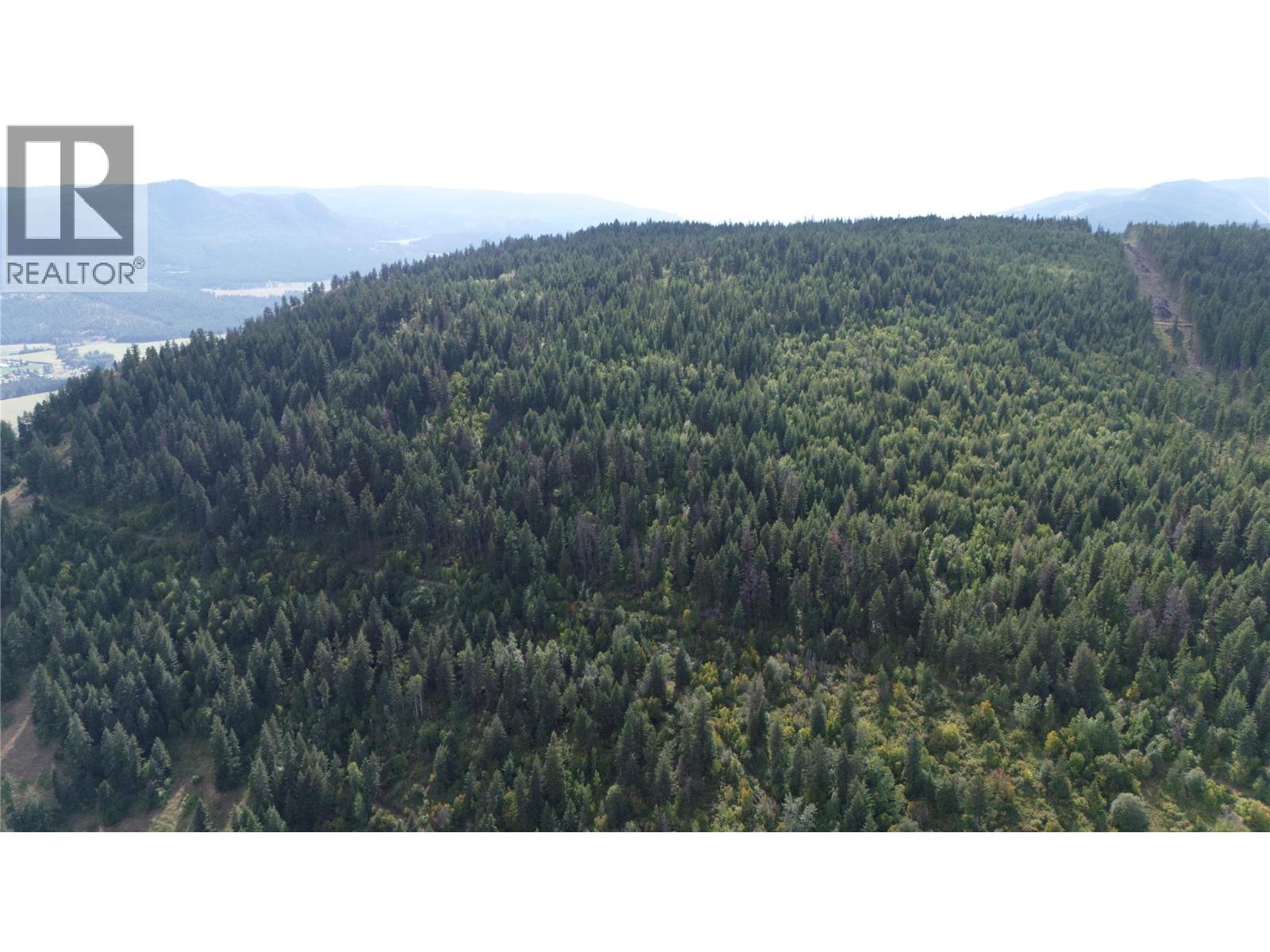 Lot 1 & 2 Gibson Road, Lumby, British Columbia  V0E 2G0 - Photo 14 - 10356942