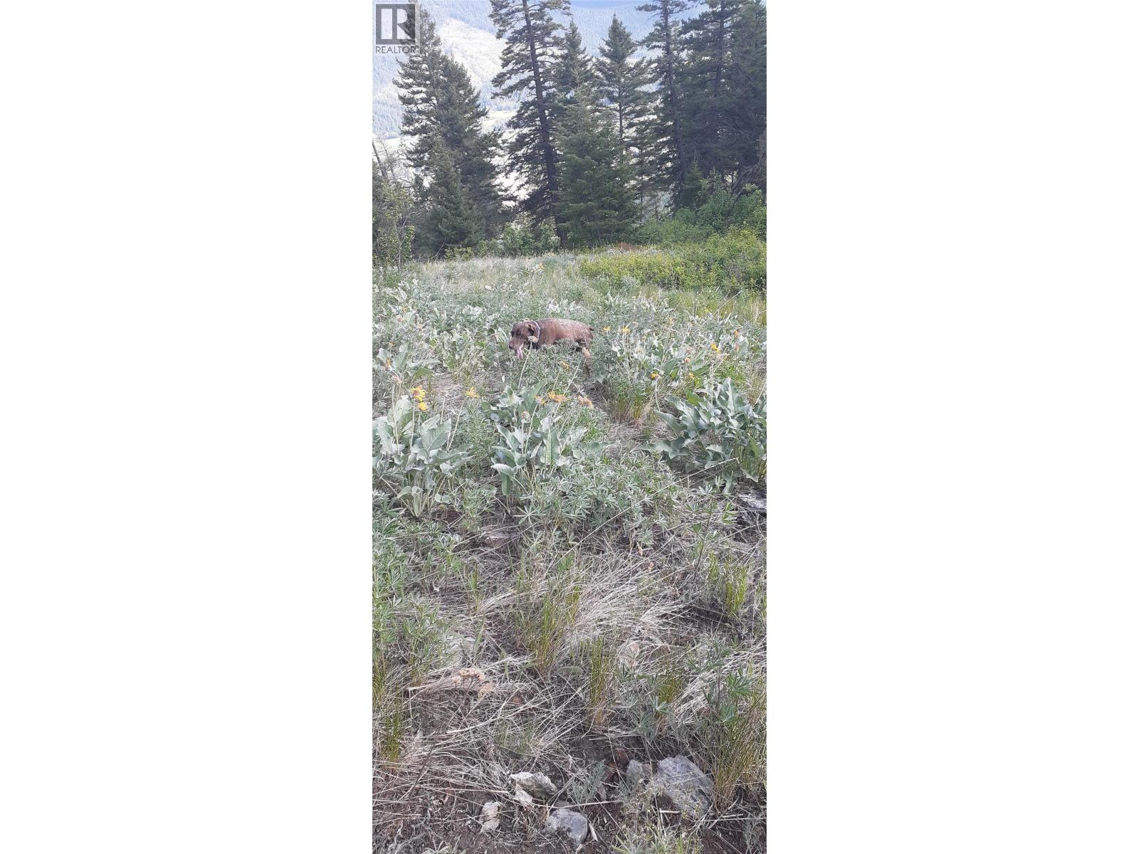 Lot 1 & 2 Gibson Road, Lumby, British Columbia  V0E 2G0 - Photo 18 - 10356942