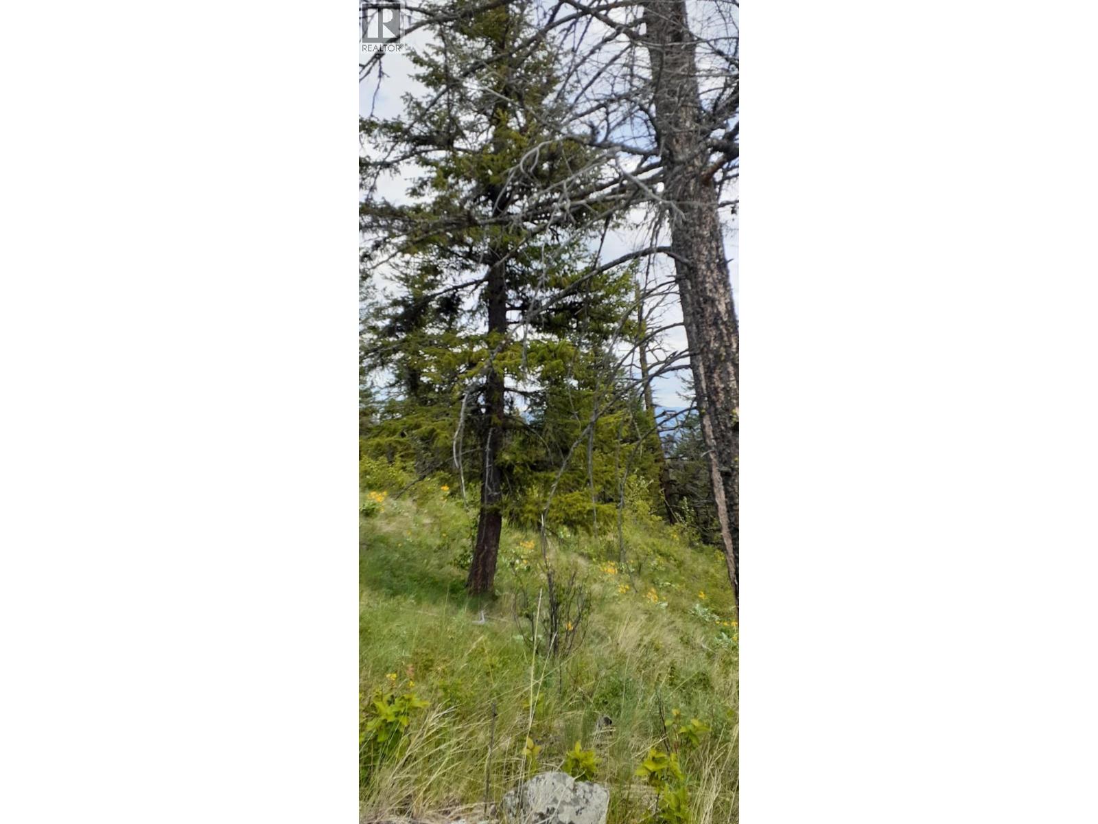Lot 1 & 2 Gibson Road, Lumby, British Columbia  V0E 2G0 - Photo 23 - 10356942