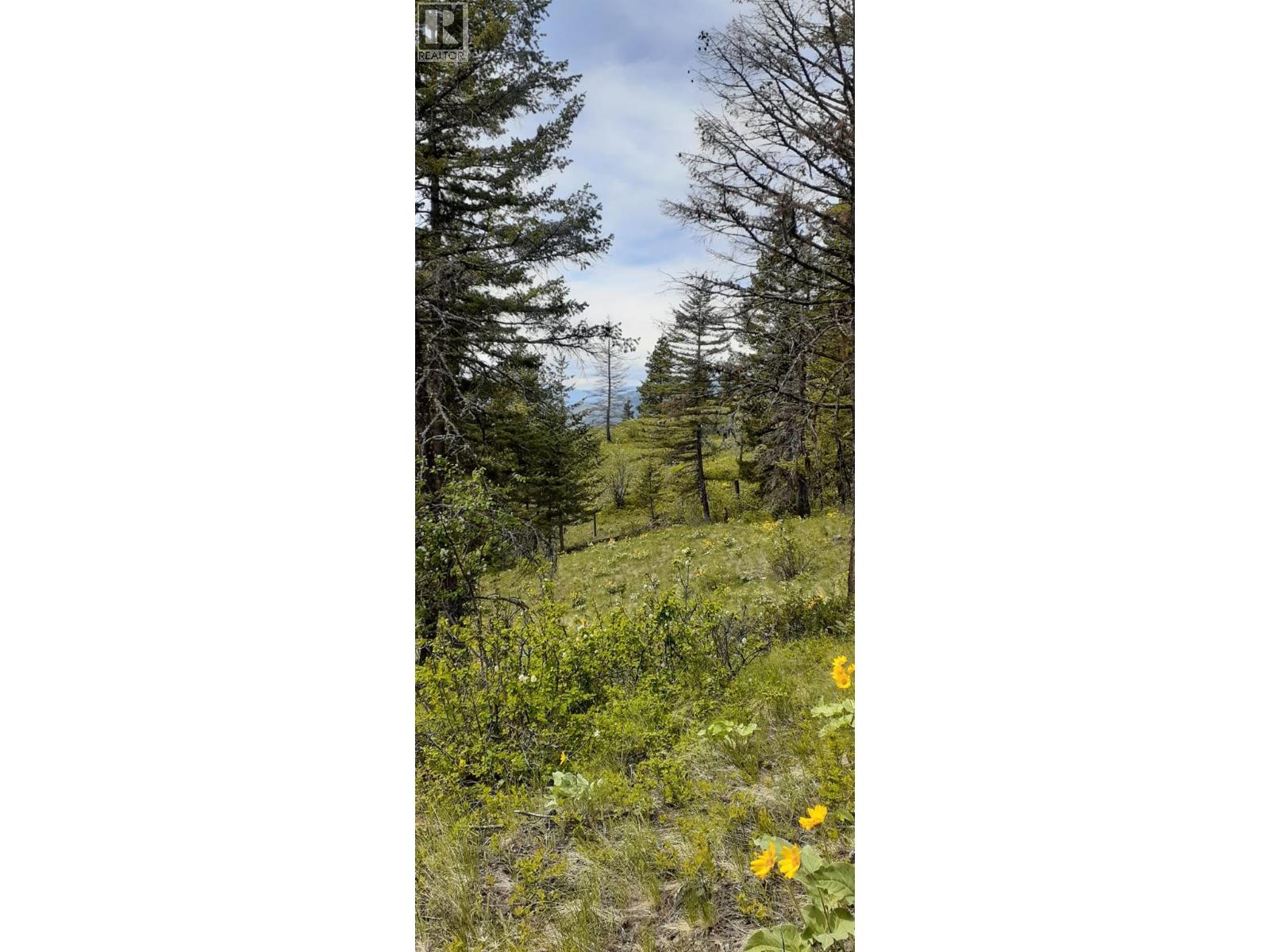 Lot 1 & 2 Gibson Road, Lumby, British Columbia  V0E 2G0 - Photo 26 - 10356942