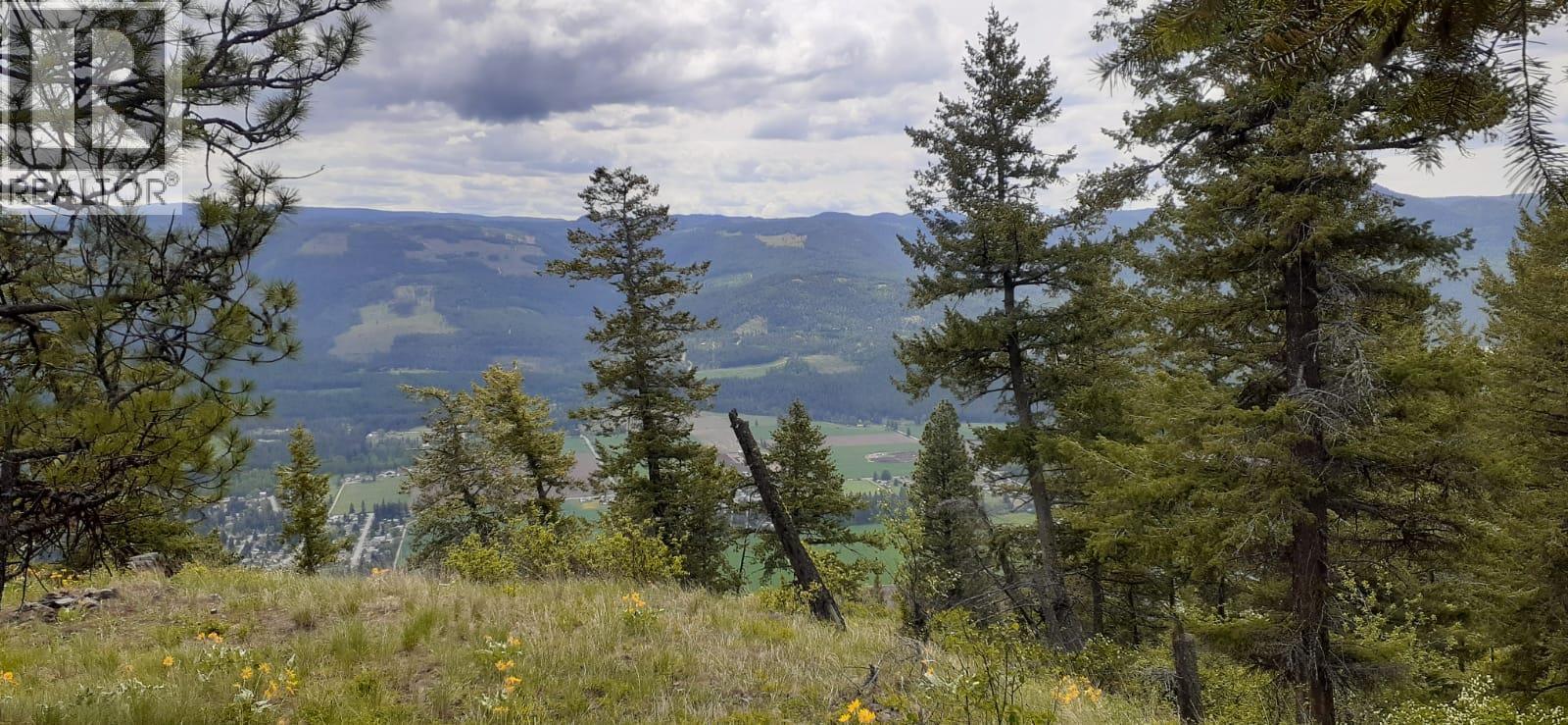 Lot 1 & 2 Gibson Road, Lumby, British Columbia  V0E 2G0 - Photo 27 - 10356942