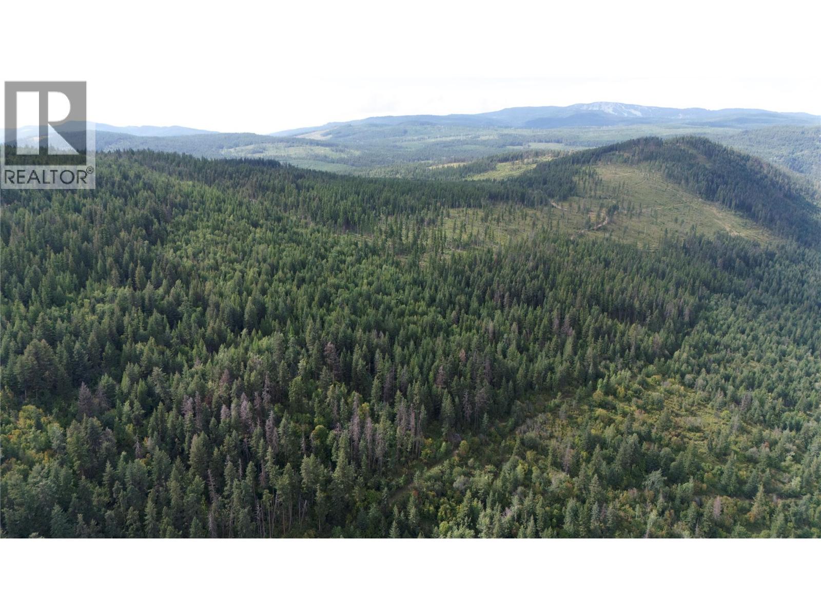 Lot 1 & 2 Gibson Road, Lumby, British Columbia  V0E 2G0 - Photo 4 - 10356942