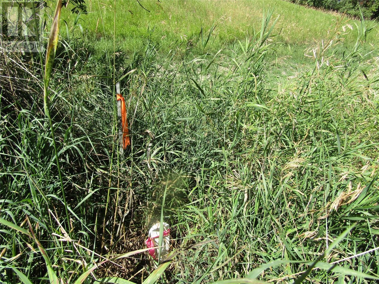 Lot 7 84th Avenue, Grand Forks, British Columbia  V0H 1H2 - Photo 3 - 10357363