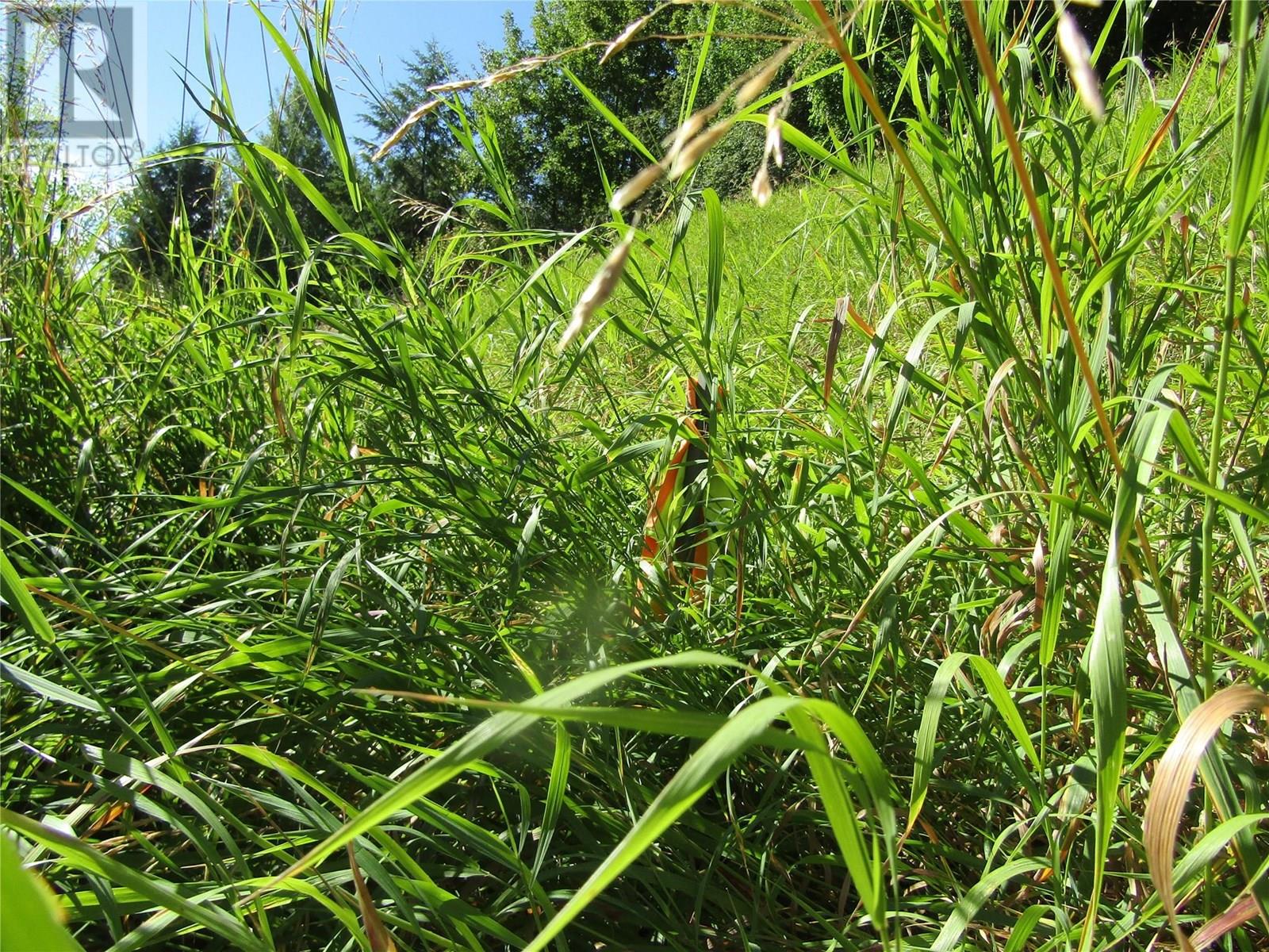 Lot 7 84th Avenue, Grand Forks, British Columbia  V0H 1H2 - Photo 4 - 10357363