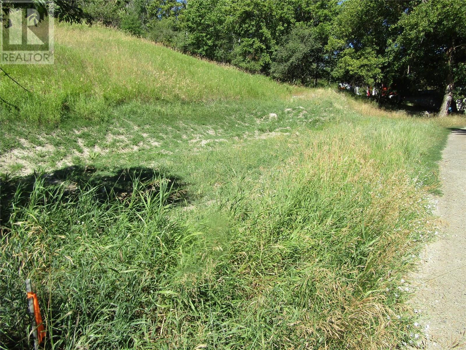 Lot 7 84th Avenue, Grand Forks, British Columbia  V0H 1H2 - Photo 5 - 10357363