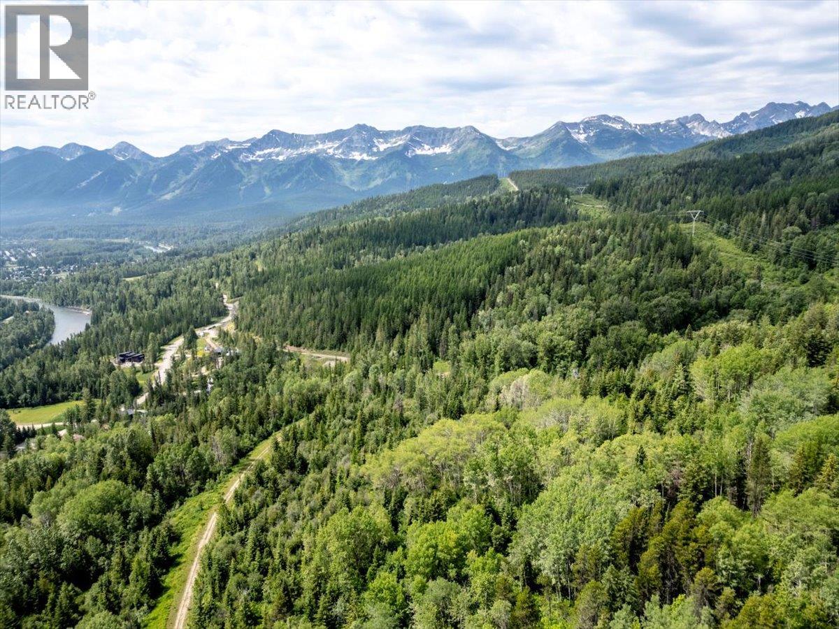 126 Burma Road, Fernie, British Columbia  V0B 1M0 - Photo 12 - 10355186