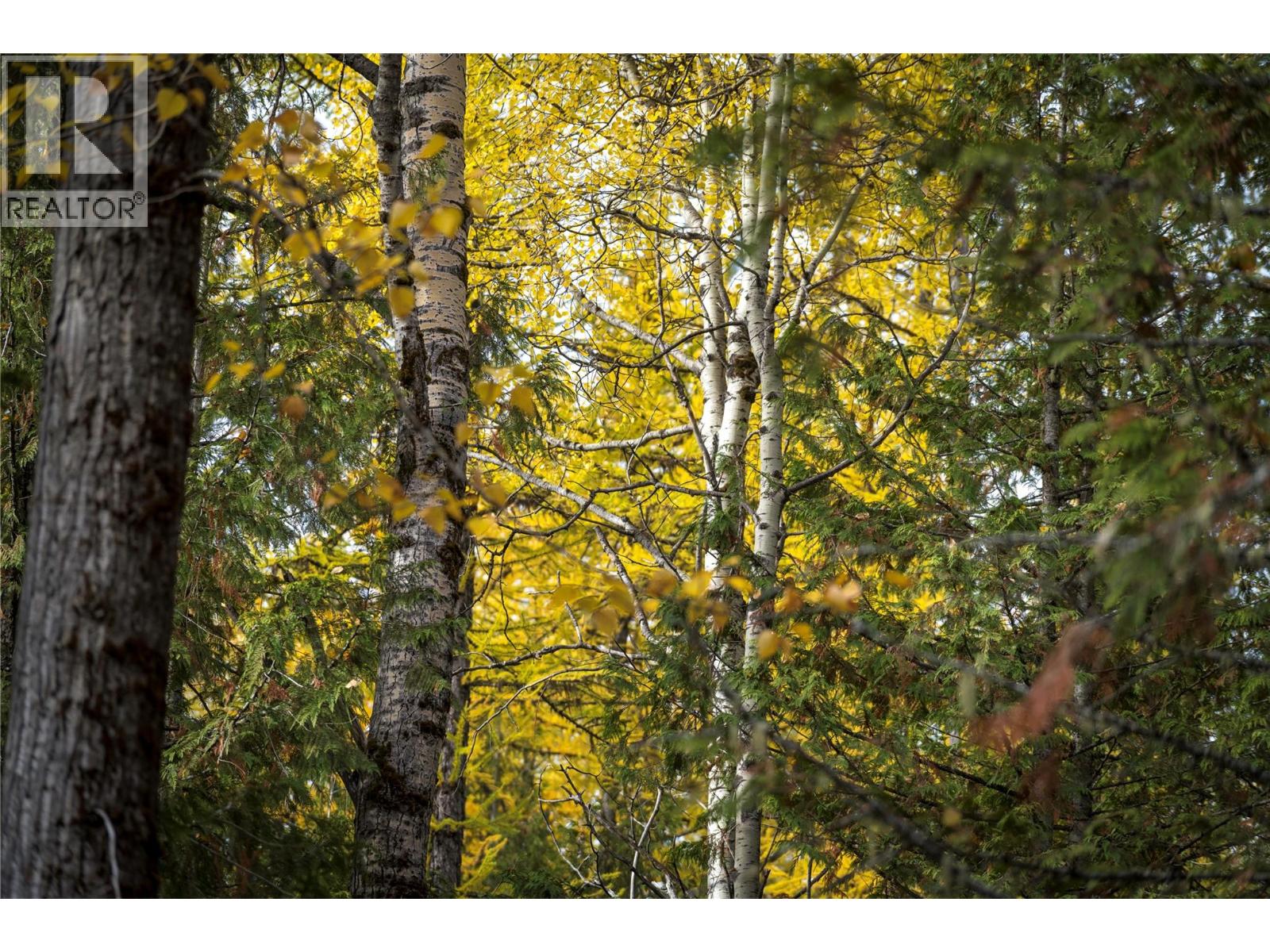 126 Burma Road, Fernie, British Columbia  V0B 1M0 - Photo 17 - 10355186