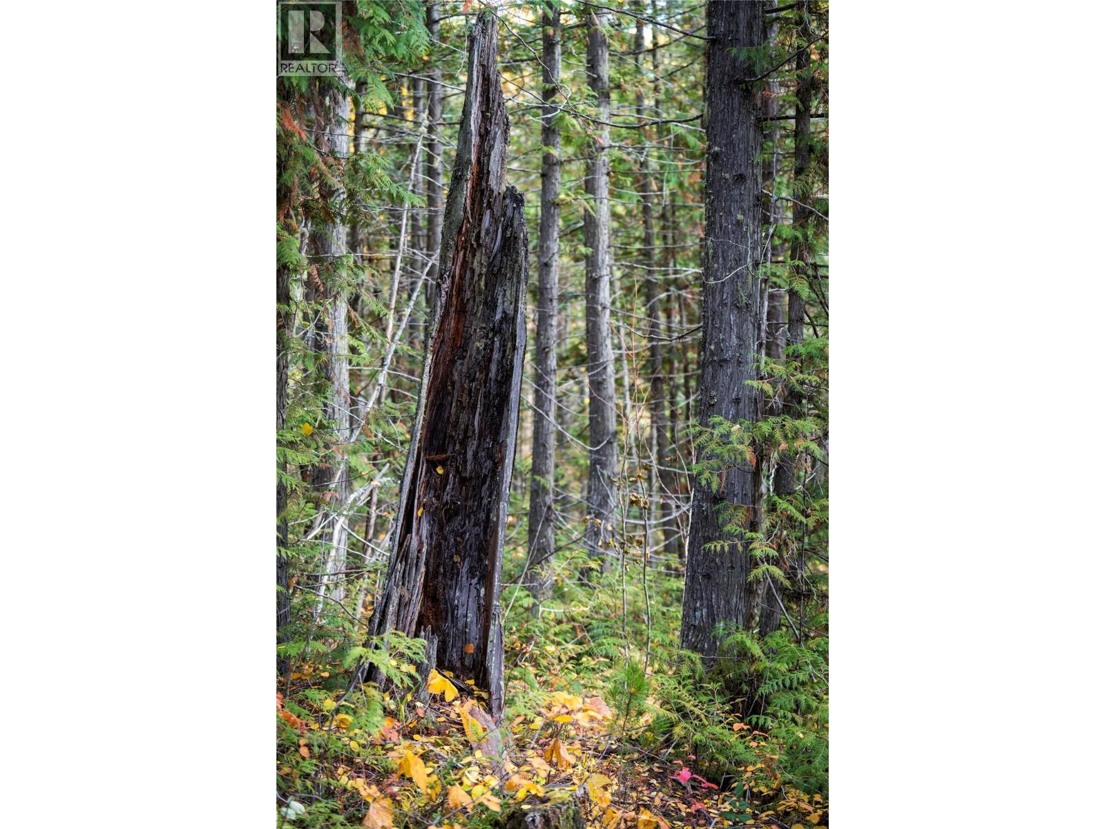 126 Burma Road, Fernie, British Columbia  V0B 1M0 - Photo 18 - 10355186