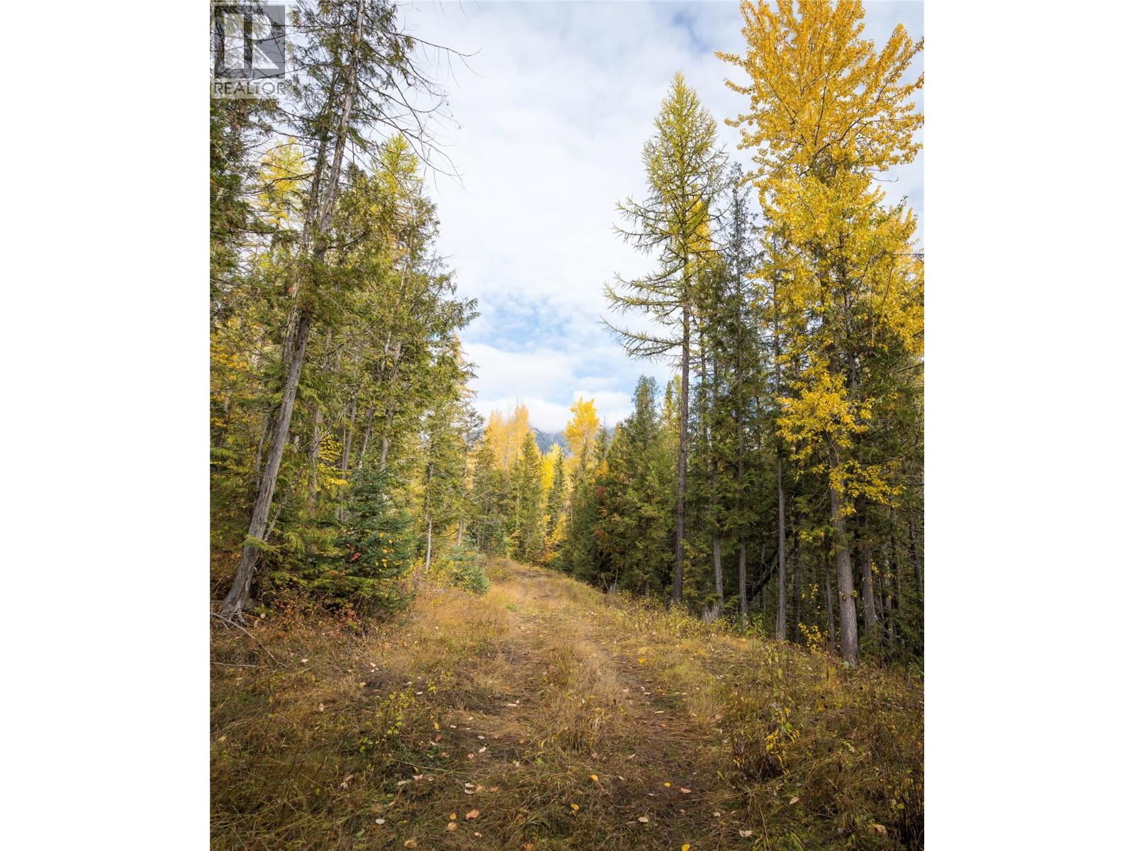 126 Burma Road, Fernie, British Columbia  V0B 1M0 - Photo 19 - 10355186