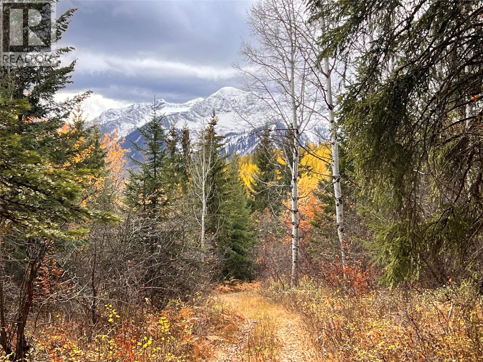 126 Burma Road, Fernie, British Columbia  V0B 1M0 - Photo 2 - 10355186