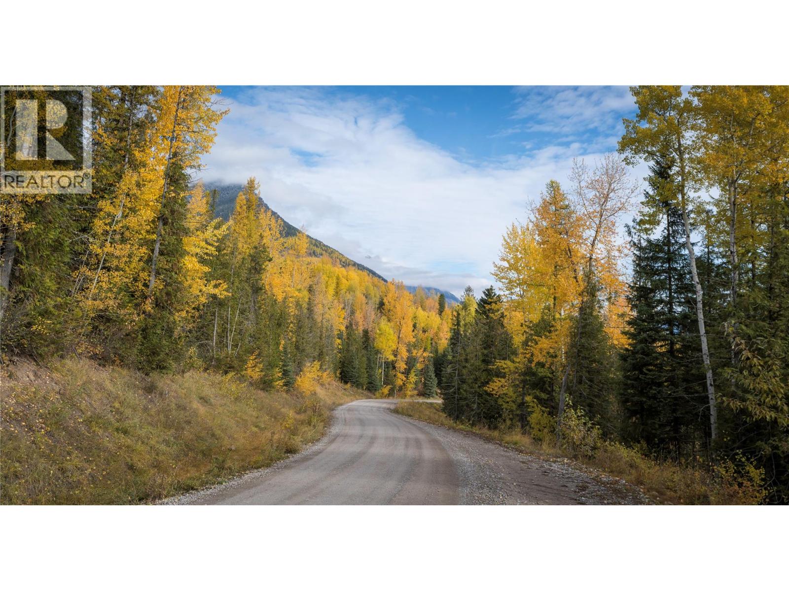 126 Burma Road, Fernie, British Columbia  V0B 1M0 - Photo 20 - 10355186