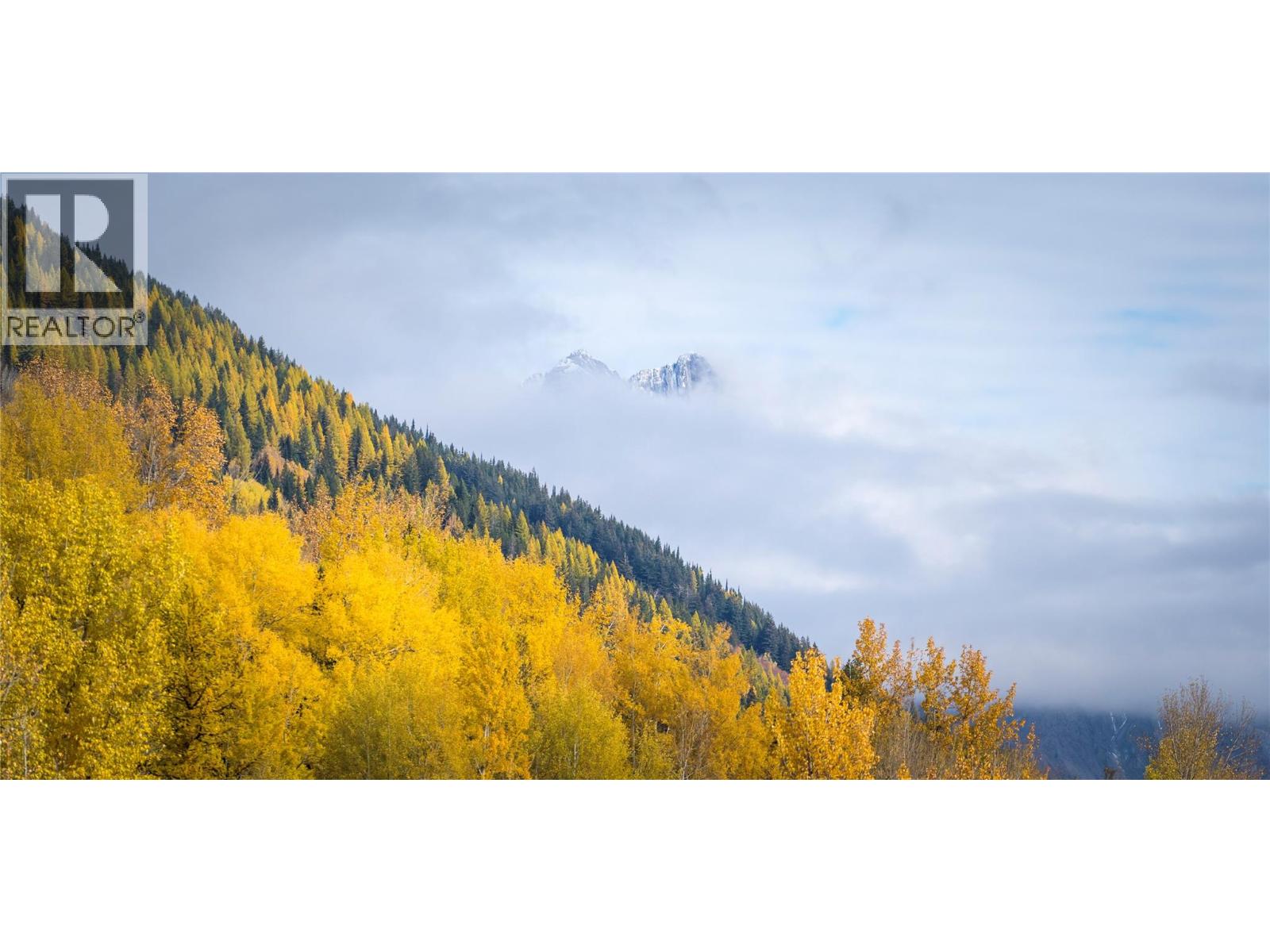 126 Burma Road, Fernie, British Columbia  V0B 1M0 - Photo 21 - 10355186