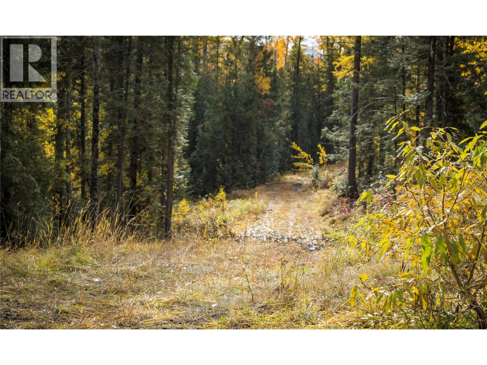 126 Burma Road, Fernie, British Columbia  V0B 1M0 - Photo 23 - 10355186