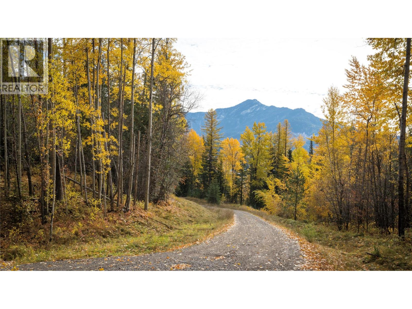 126 Burma Road, Fernie, British Columbia  V0B 1M0 - Photo 24 - 10355186