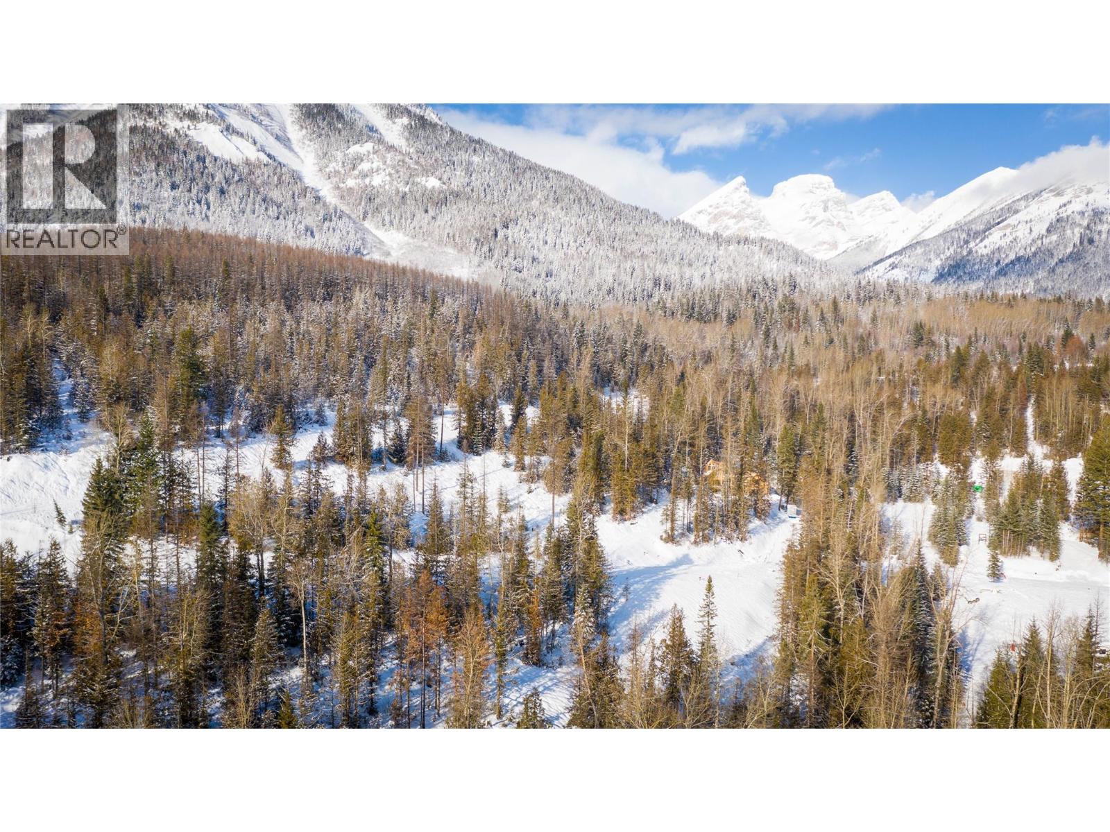 126 Burma Road, Fernie, British Columbia  V0B 1M0 - Photo 25 - 10355186