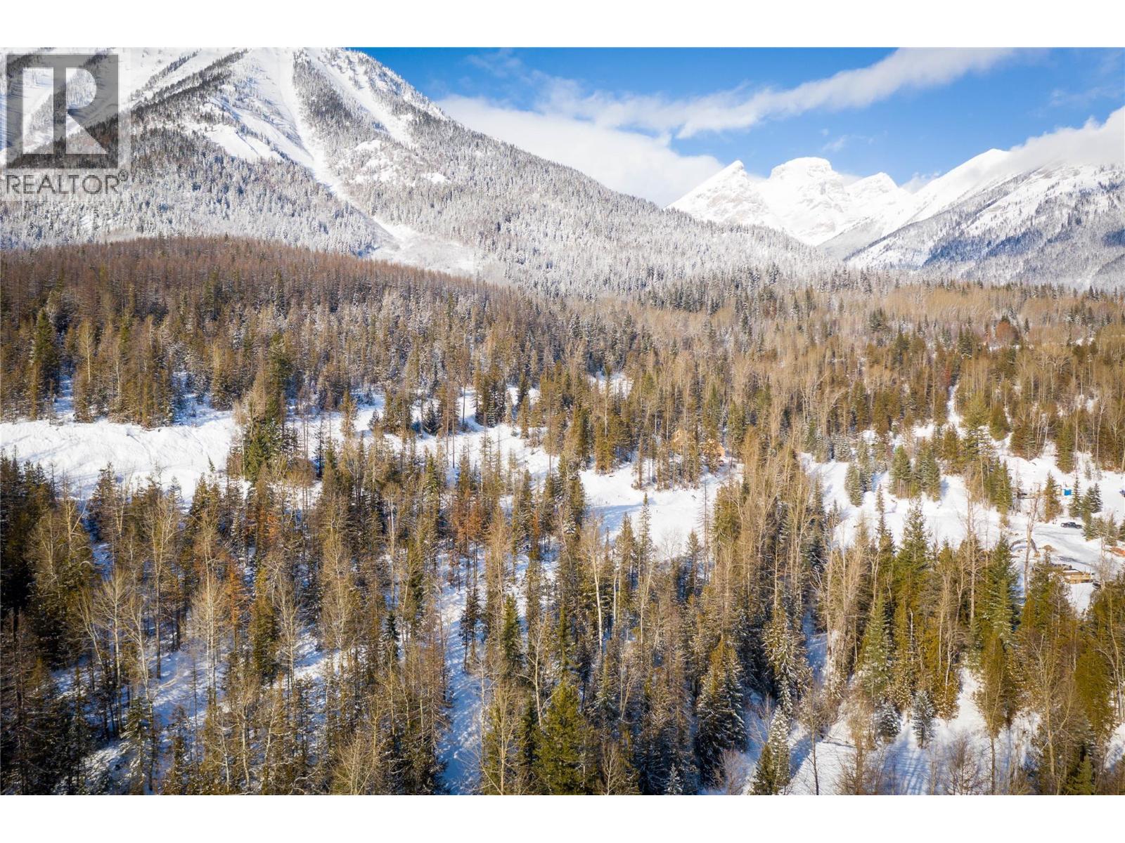 126 Burma Road, Fernie, British Columbia  V0B 1M0 - Photo 26 - 10355186