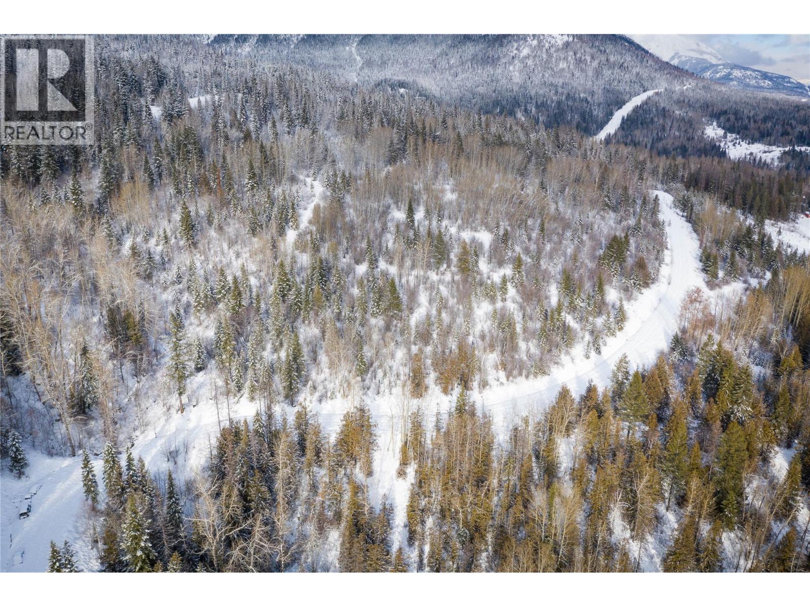 126 Burma Road, Fernie, British Columbia  V0B 1M0 - Photo 27 - 10355186