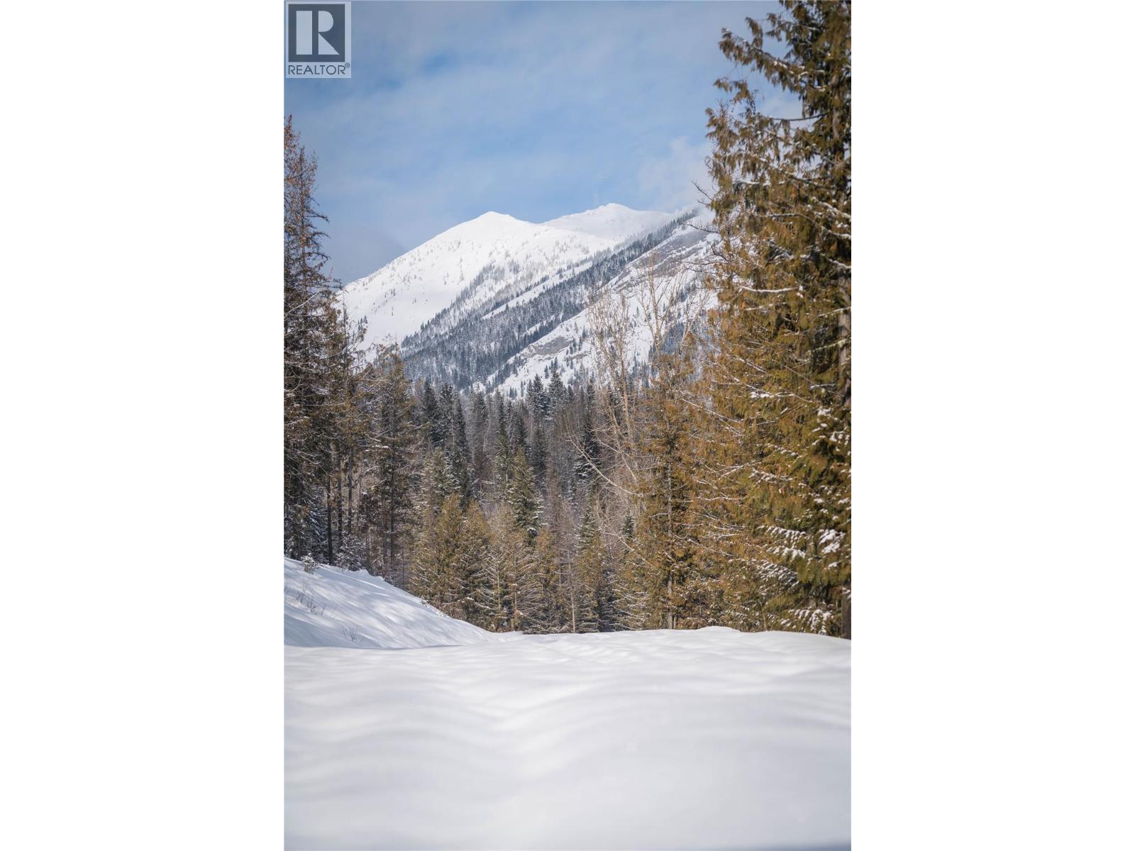 126 Burma Road, Fernie, British Columbia  V0B 1M0 - Photo 29 - 10355186