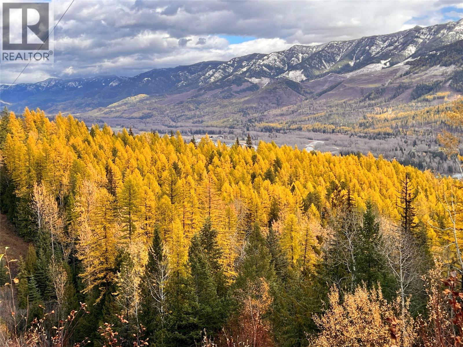 126 Burma Road, Fernie, British Columbia  V0B 1M0 - Photo 3 - 10355186