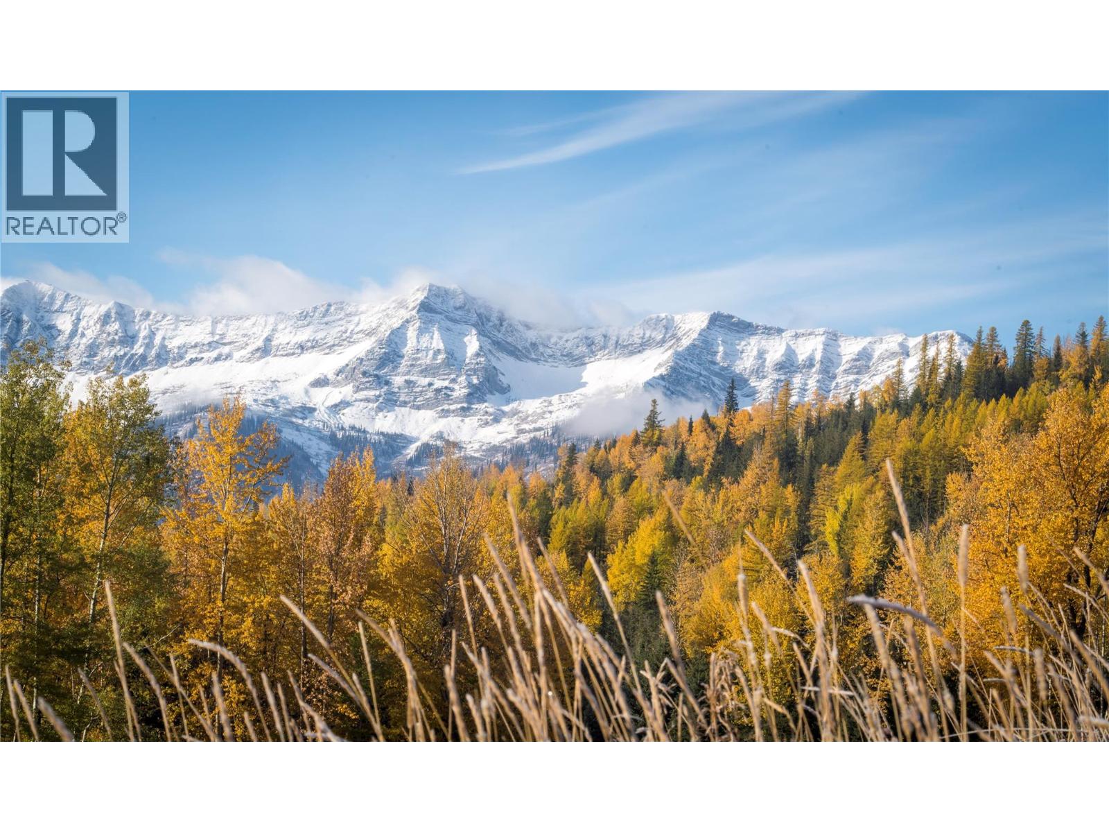 126 Burma Road, Fernie, British Columbia  V0B 1M0 - Photo 32 - 10355186