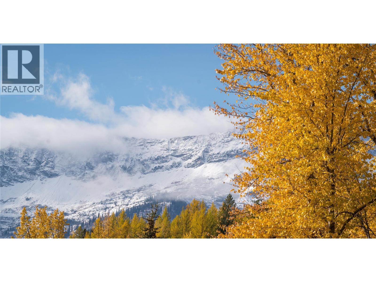 126 Burma Road, Fernie, British Columbia  V0B 1M0 - Photo 33 - 10355186