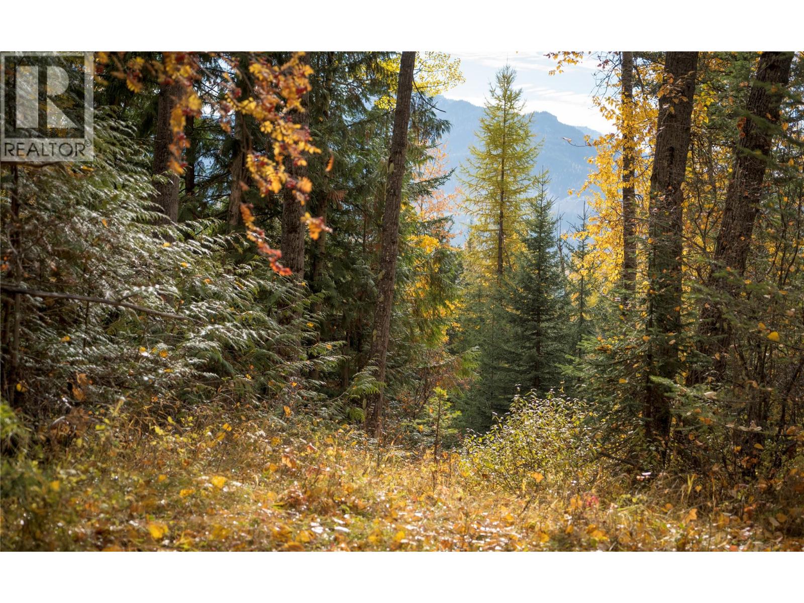 126 Burma Road, Fernie, British Columbia  V0B 1M0 - Photo 34 - 10355186