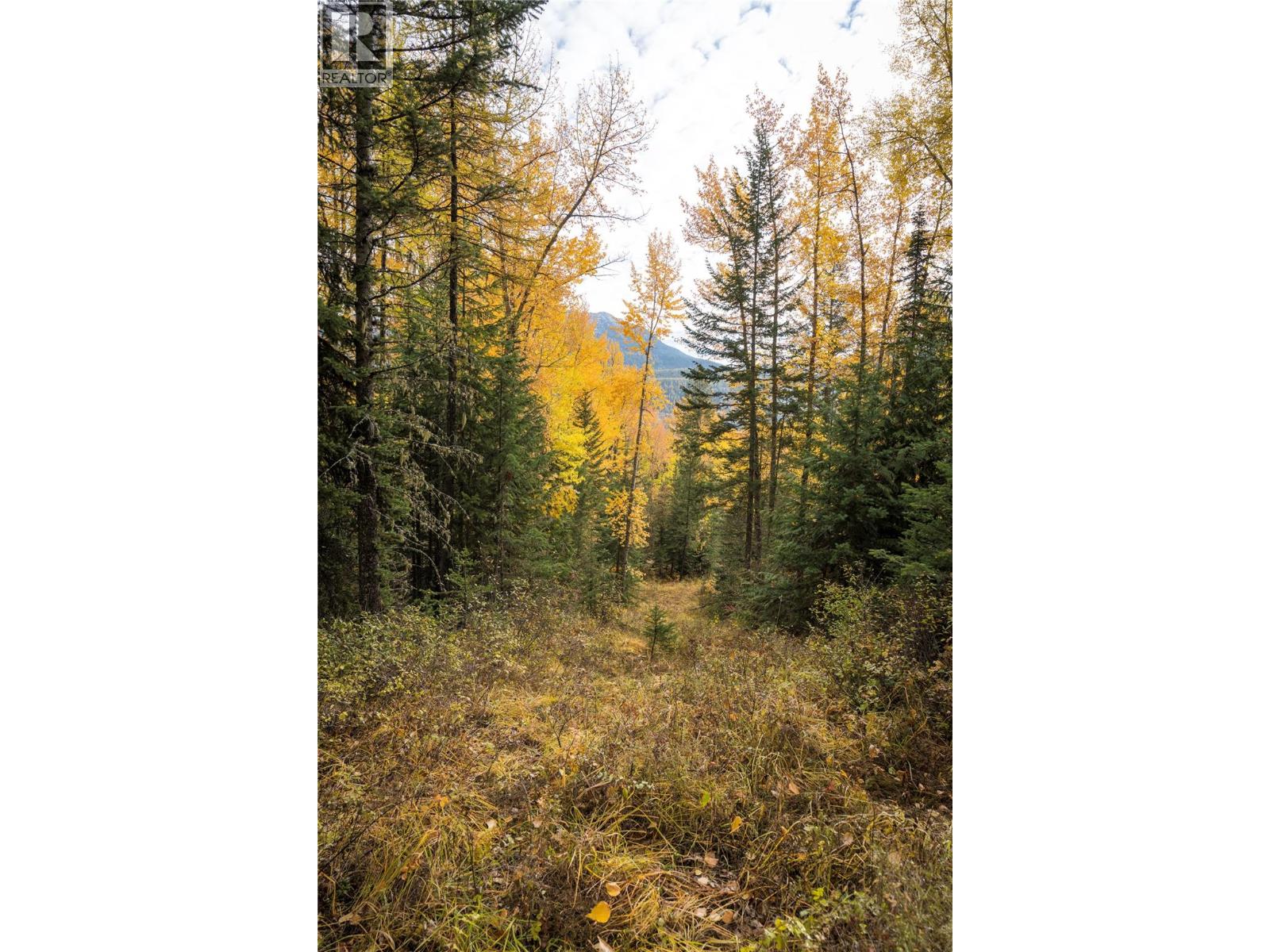 126 Burma Road, Fernie, British Columbia  V0B 1M0 - Photo 35 - 10355186