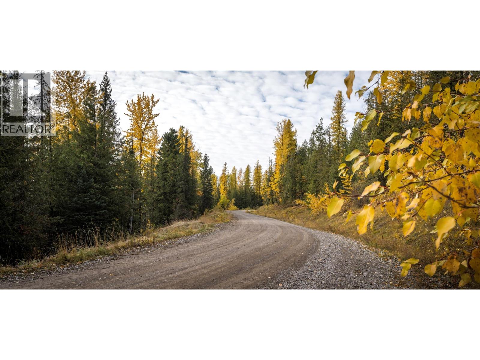 126 Burma Road, Fernie, British Columbia  V0B 1M0 - Photo 36 - 10355186