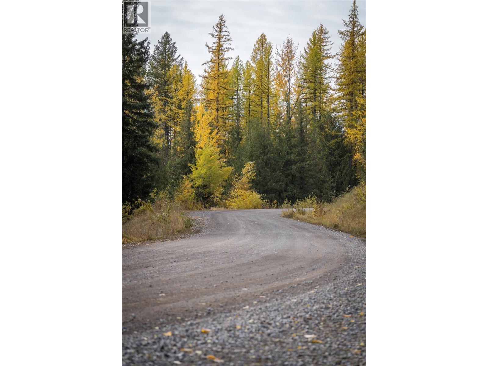 126 Burma Road, Fernie, British Columbia  V0B 1M0 - Photo 37 - 10355186