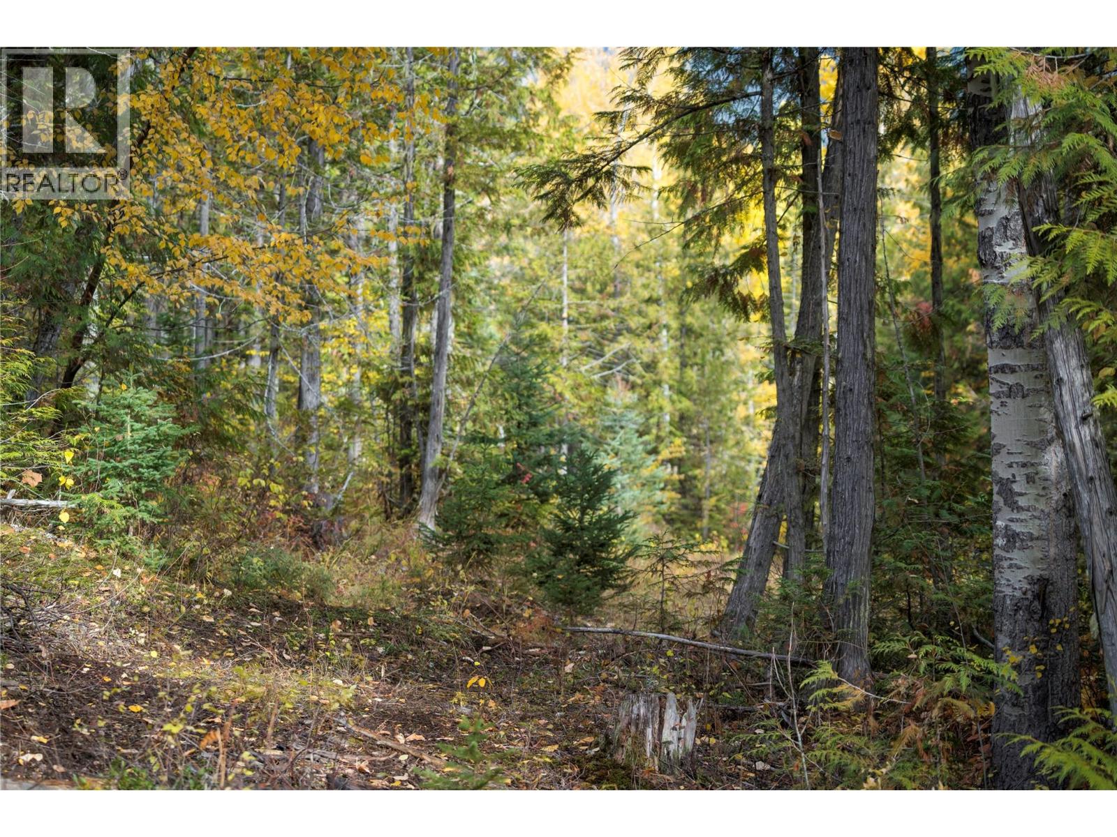 126 Burma Road, Fernie, British Columbia  V0B 1M0 - Photo 38 - 10355186