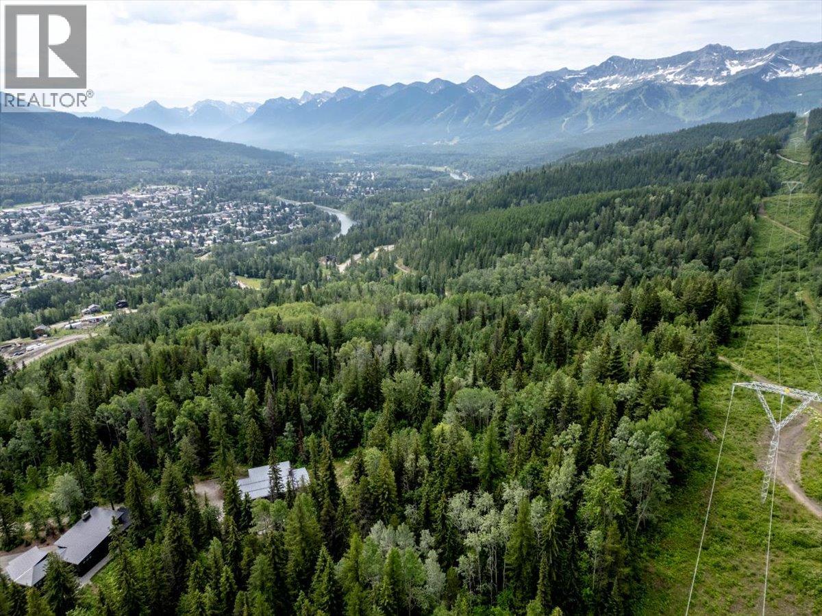 126 Burma Road, Fernie, British Columbia  V0B 1M0 - Photo 4 - 10355186