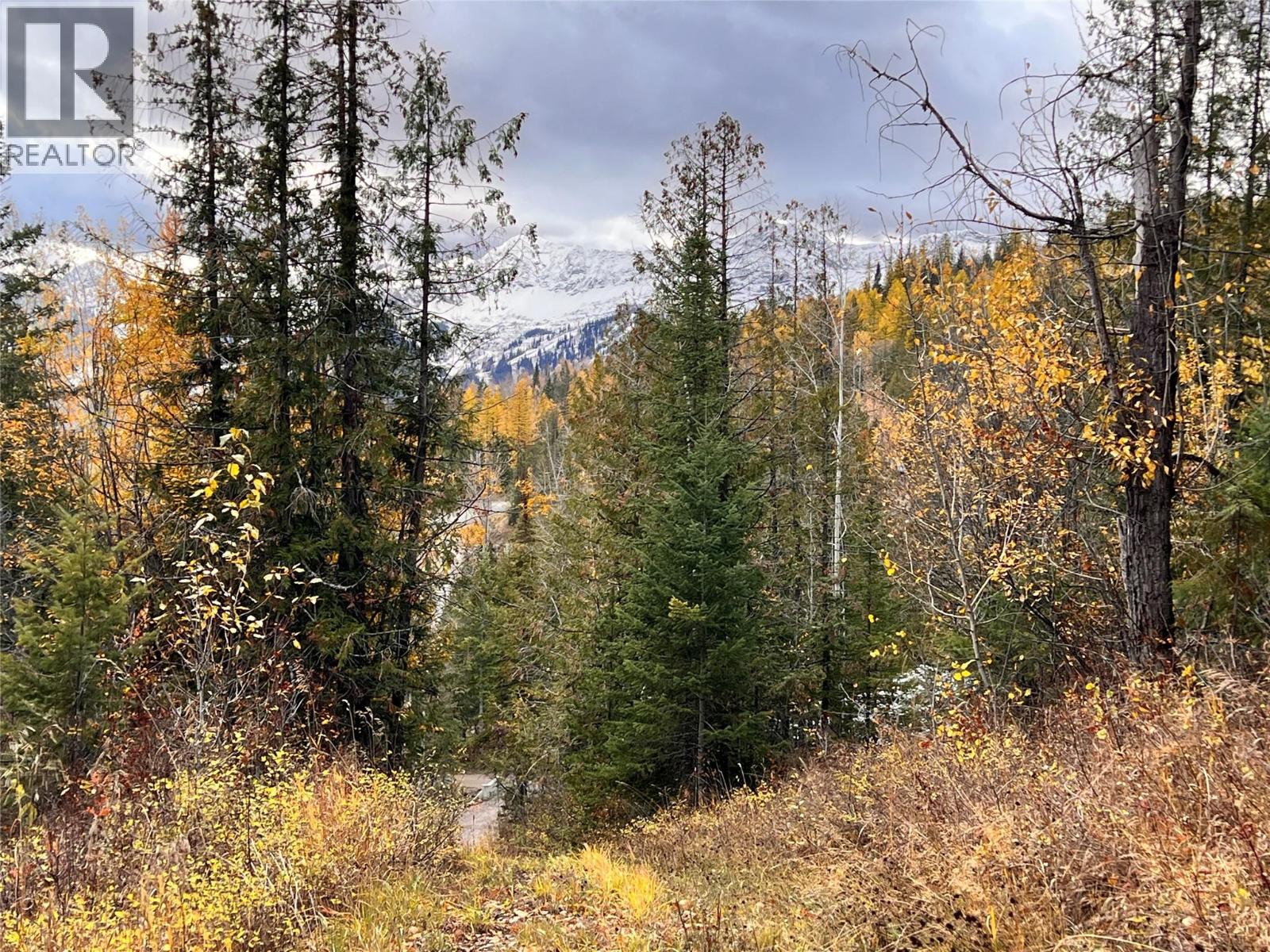 126 Burma Road, Fernie, British Columbia  V0B 1M0 - Photo 41 - 10355186